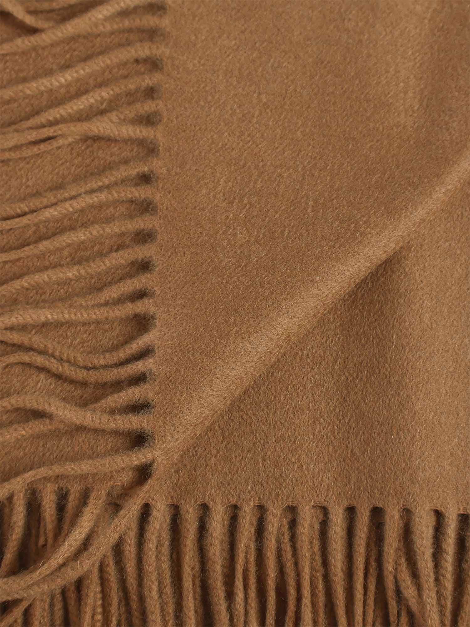 Max Mara Cashmere Stole With Embroidery And Fringes In Brown