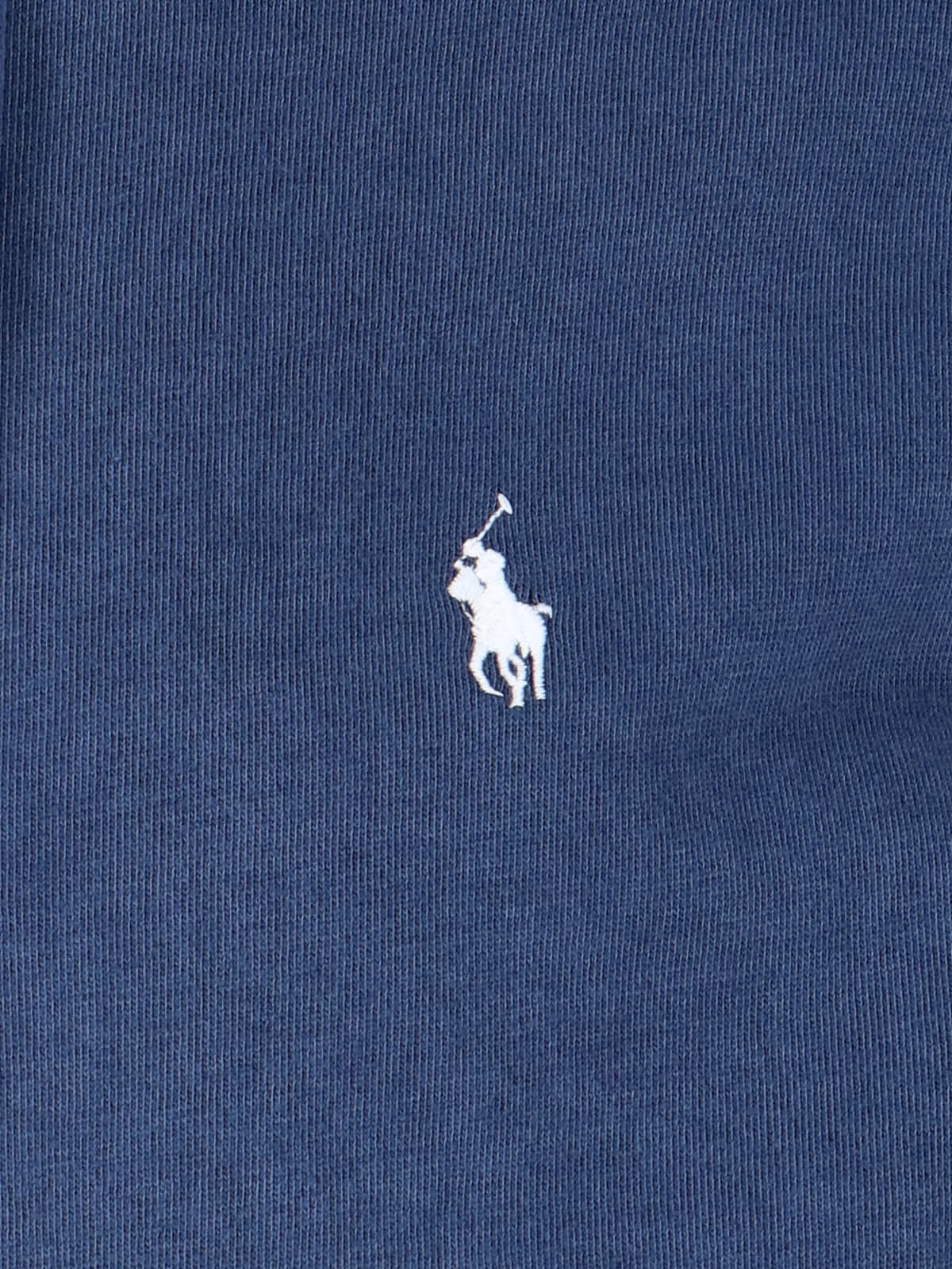 Shop Polo Ralph Lauren Logo Zip Hoodie In Blue