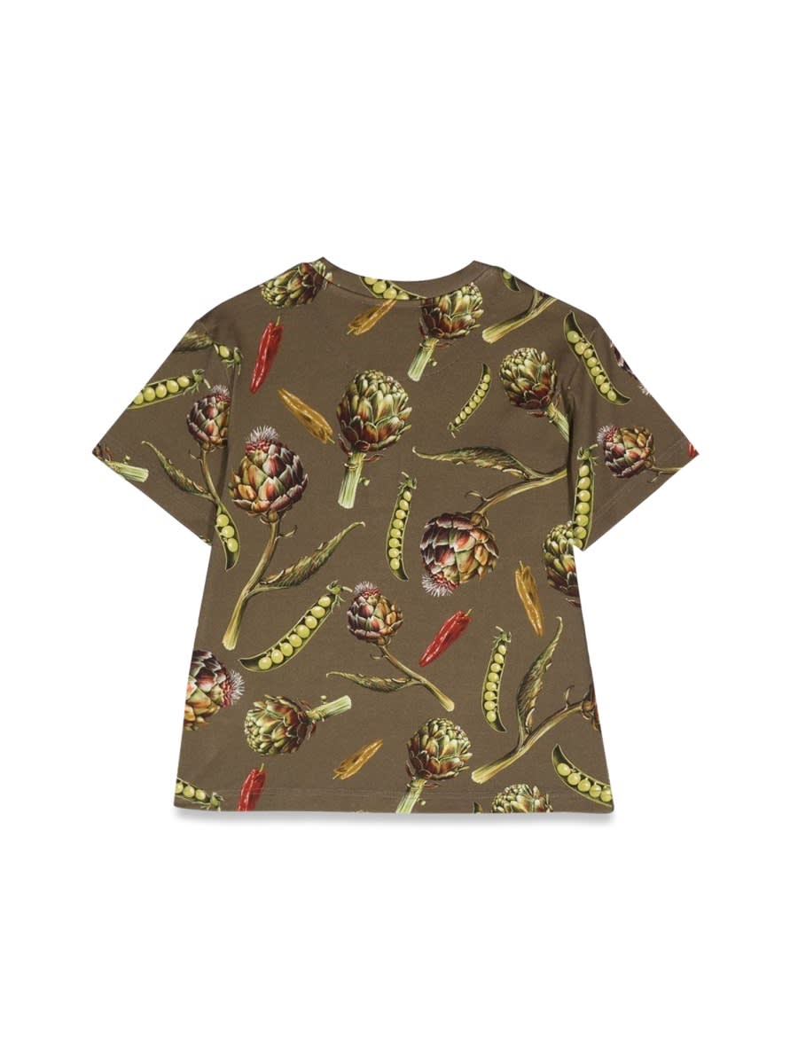 Dolce & Gabbana Floral-print Cotton T-shirt In Multicolour