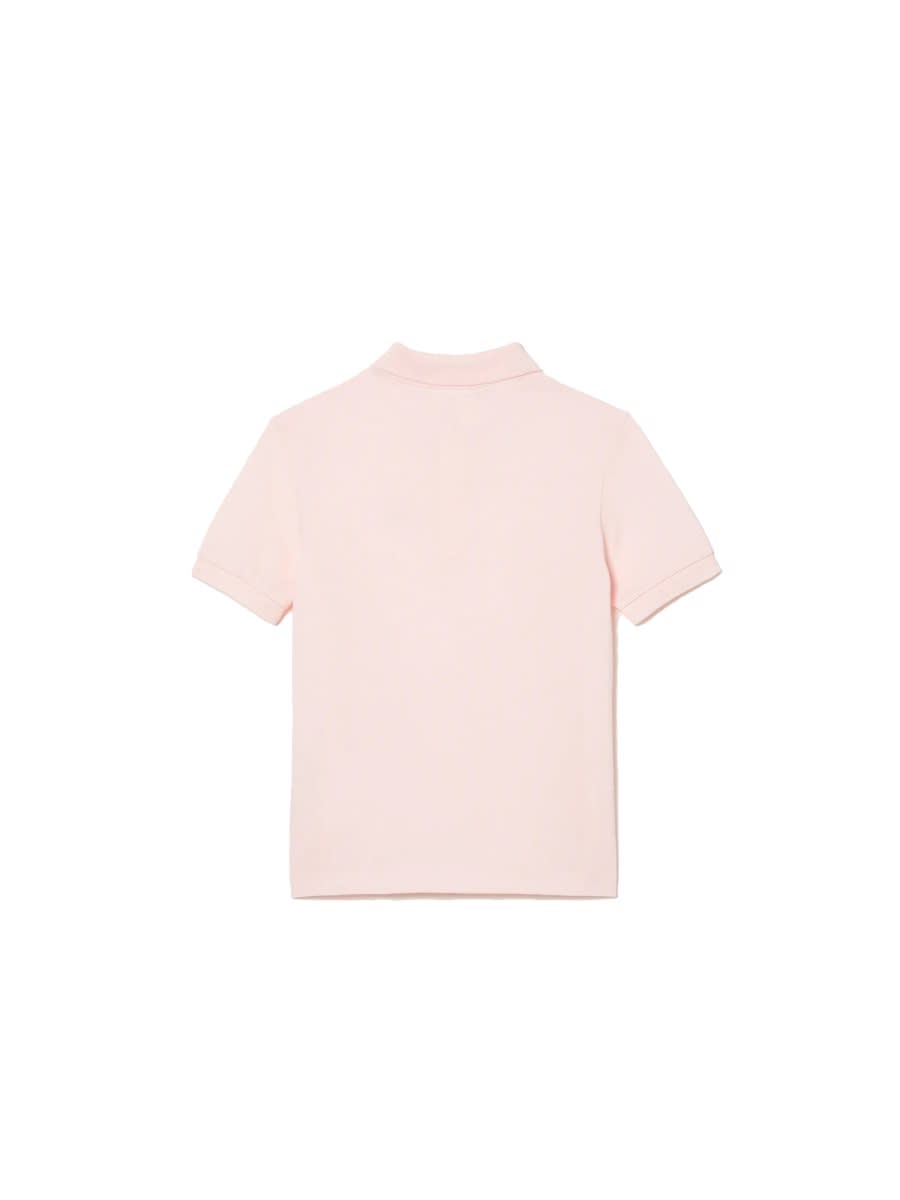 Shop Lacoste Polo Logo