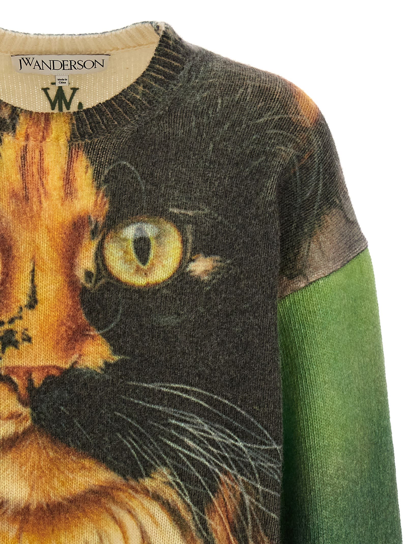 Shop Jw Anderson Cat Print Sweater In Multicolor