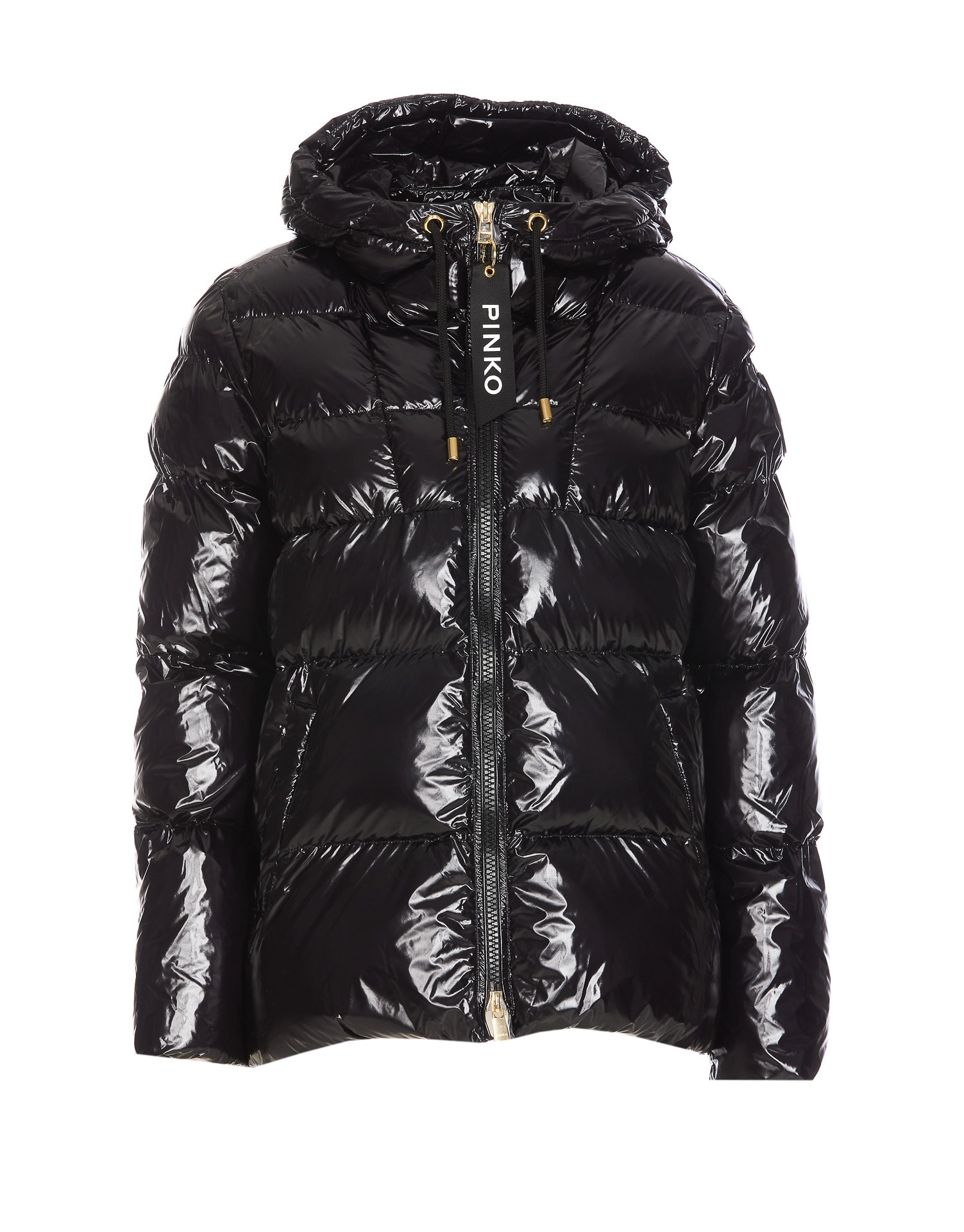 Shop Pinko Eleodoro Down Jacket In Nero Limousine