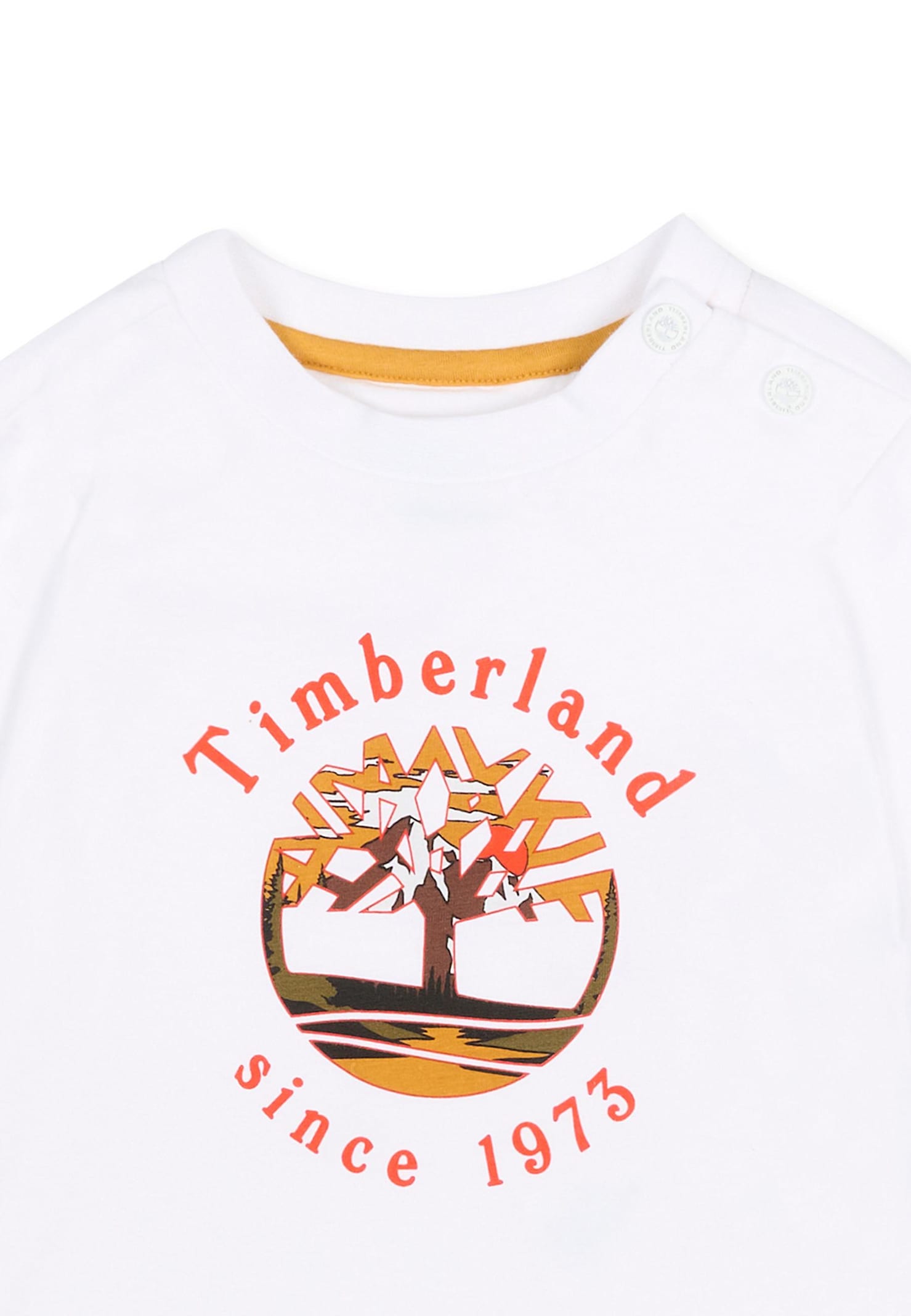Timberland White T-shirt For Baby Boy With Logo In White