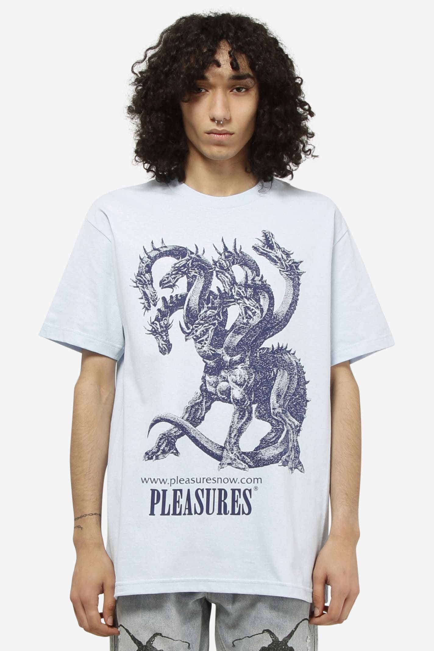 Pleasures Destruction T-shirt