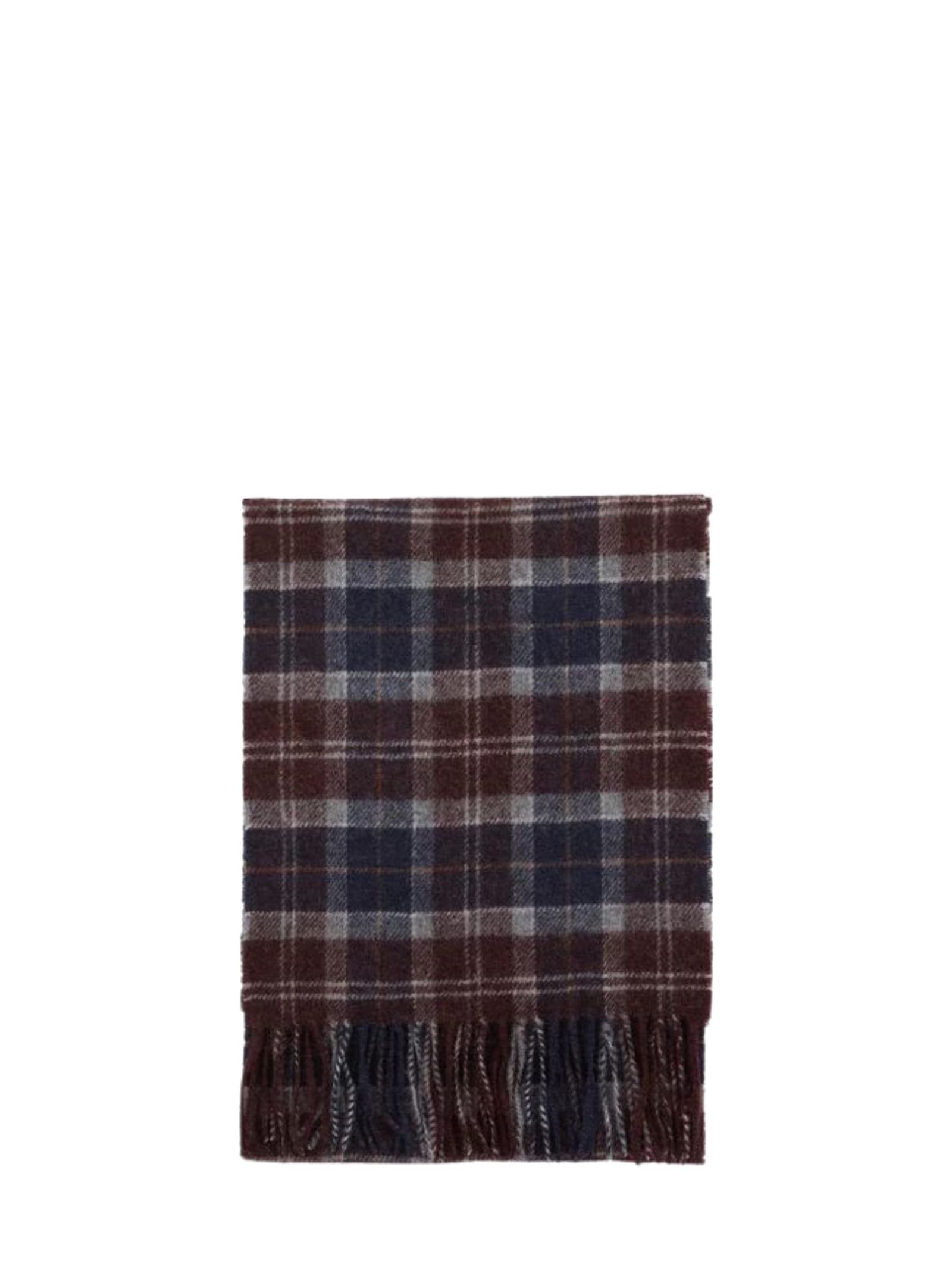 Barbour Tartan Wool Scarf In Multi