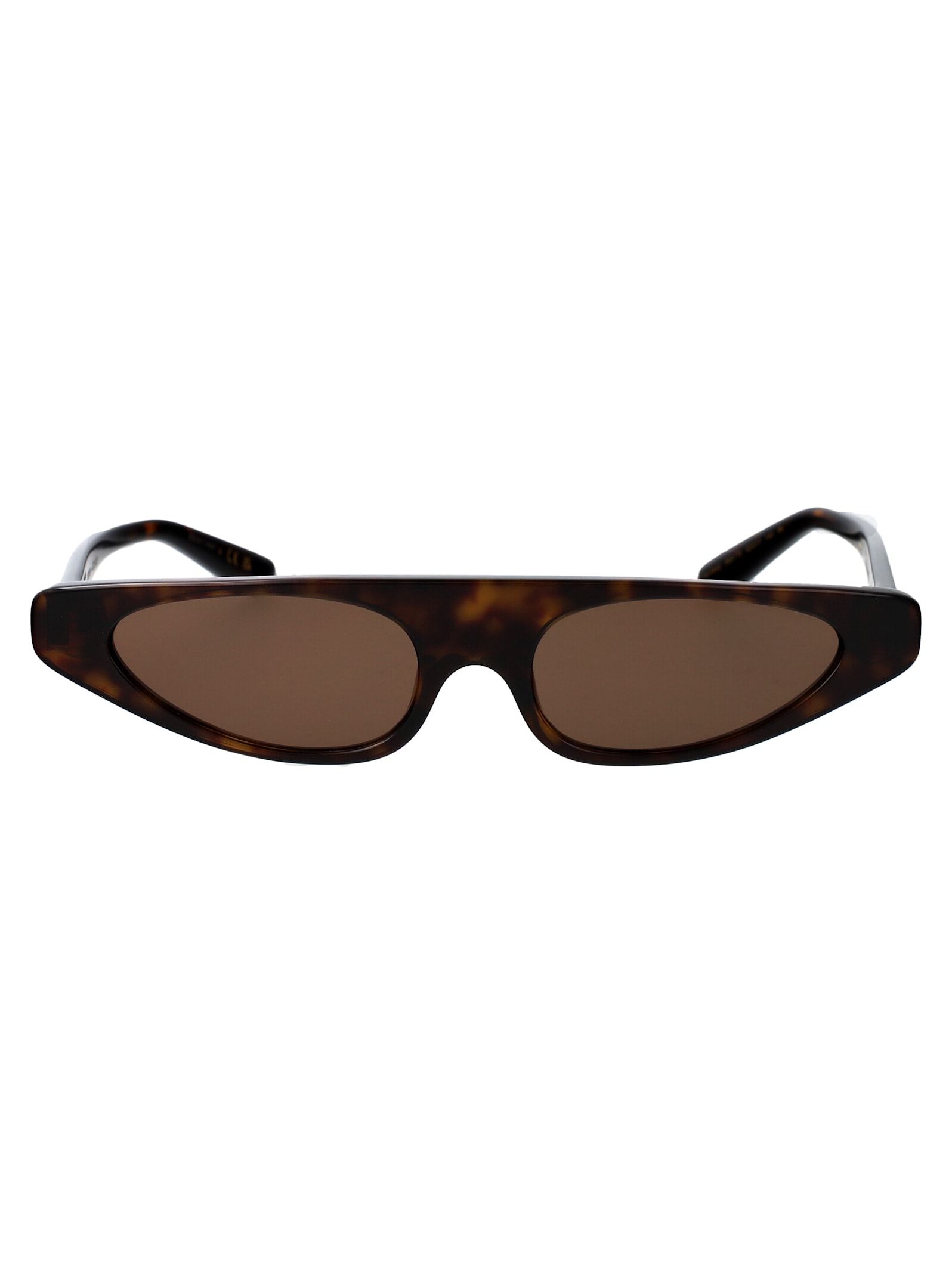 0dg4442 Sunglasses