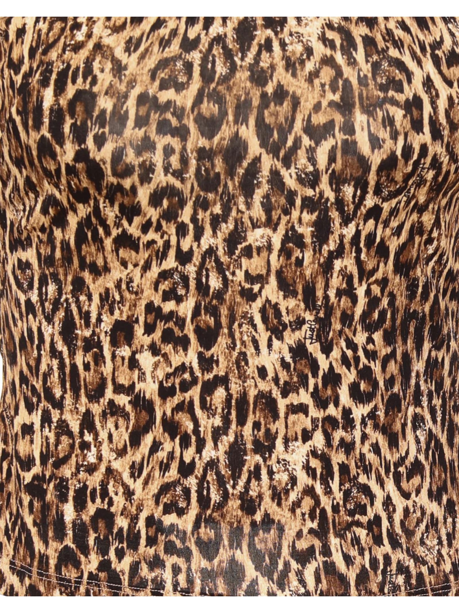 Roberto Cavalli Just Cavalli Top With Long Sleeves In Animal Print