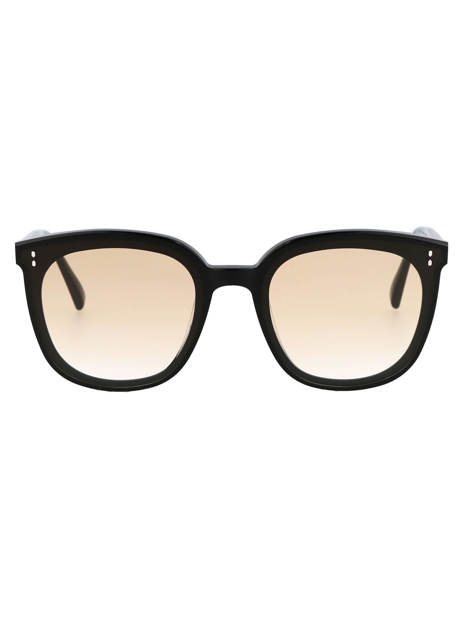 Gentle Monster Rosy Sunglasses In Black