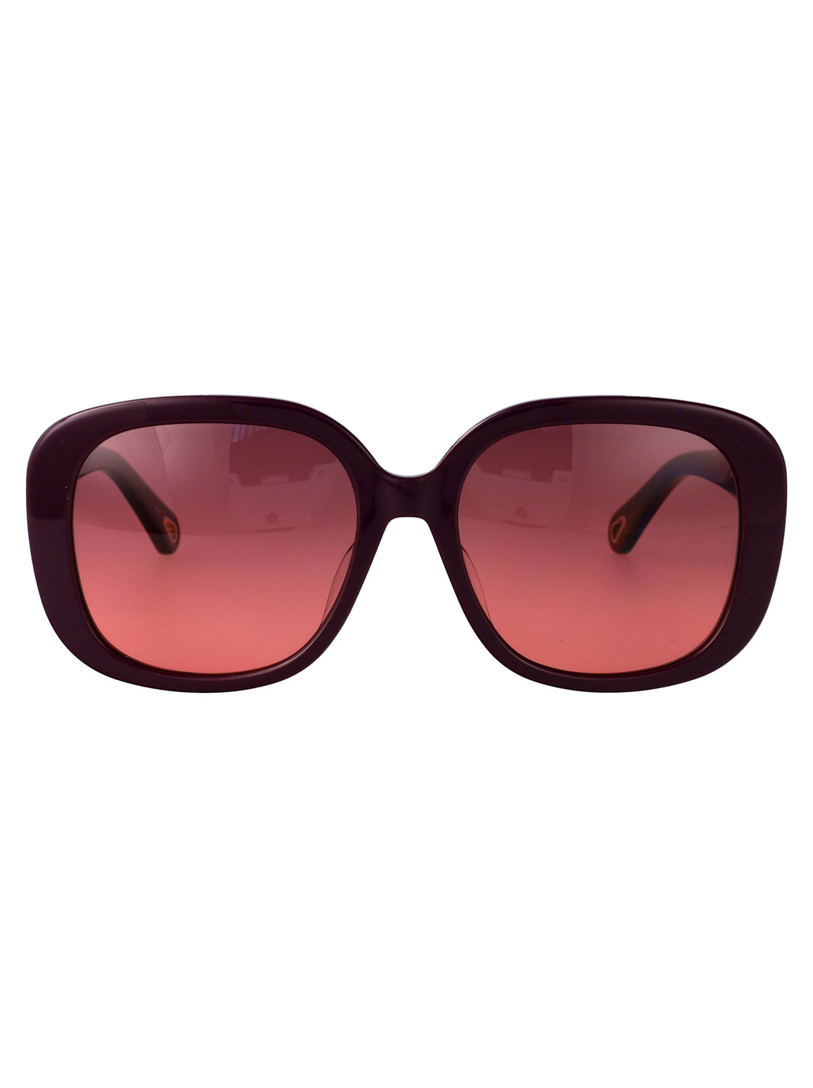 Chloé Eyewear Ch0303sk Sunglasses