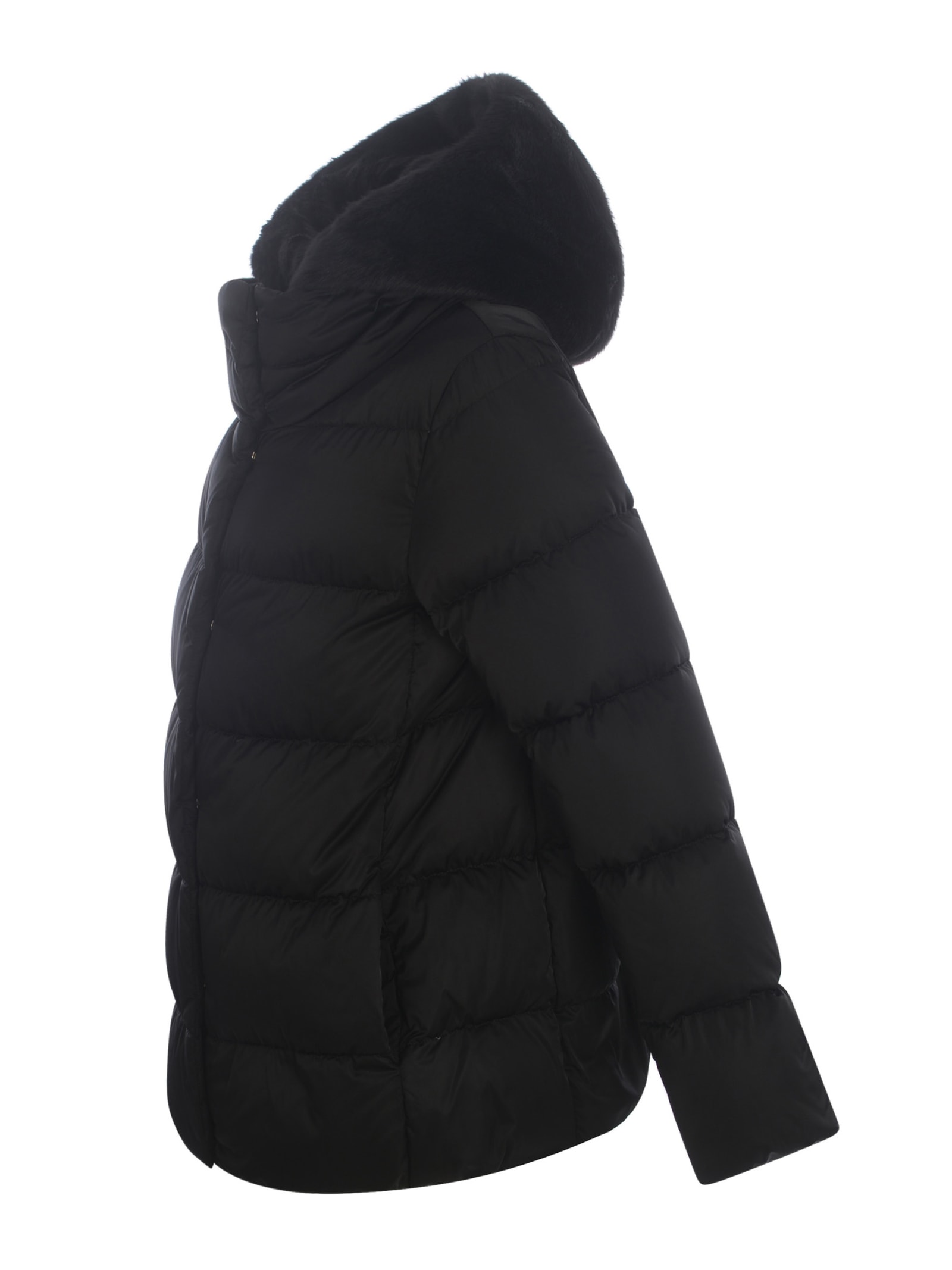 Shop Herno Jacket  Made Of Nylon In Black