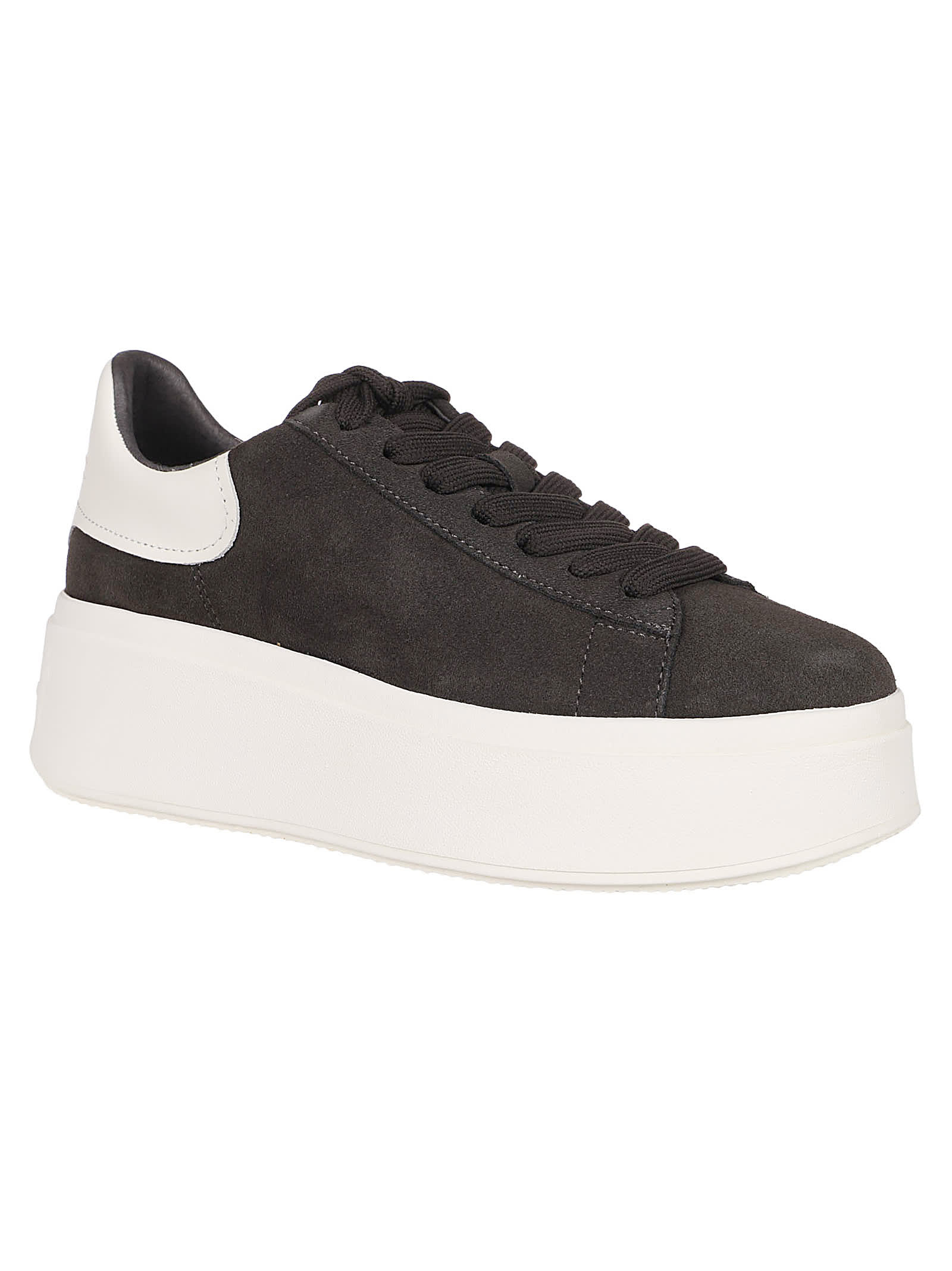 Shop Ash Moby Sneakers In Bistro/gardenia