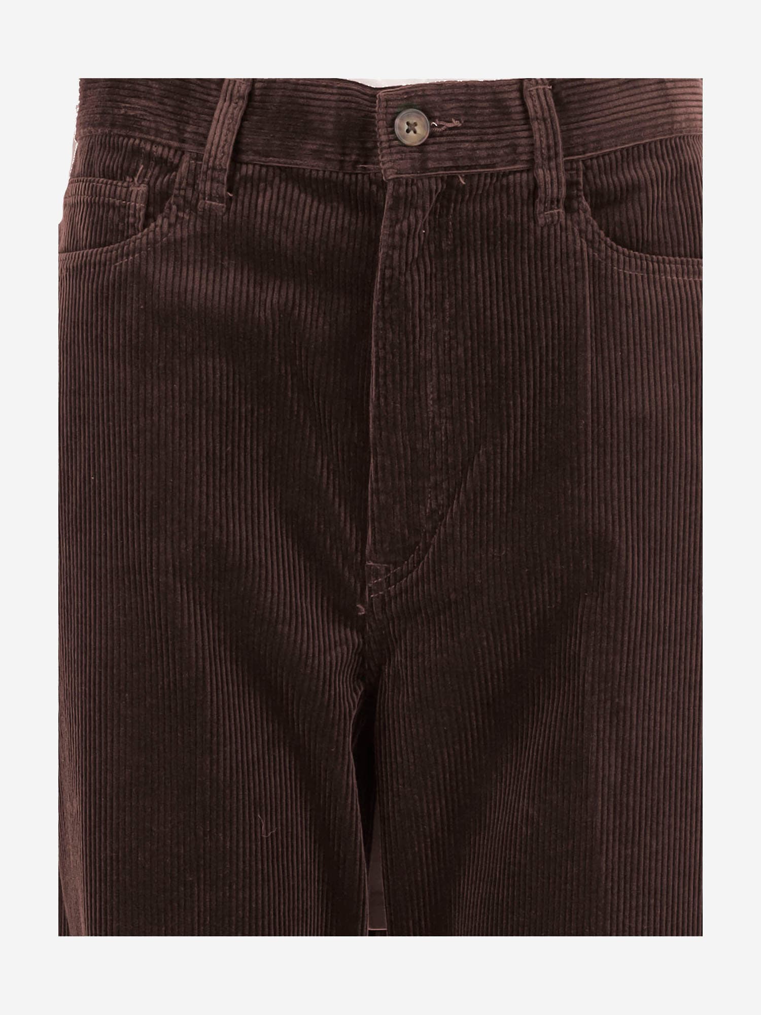 Polo Ralph Lauren Cotton Velvet Pants In Brown