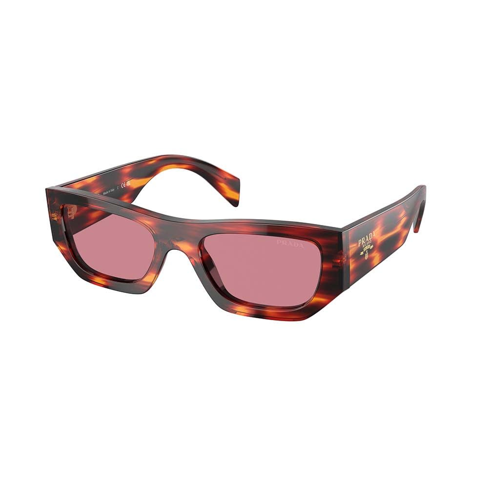 Shop Prada Sunglasses In Havana Multicolor/viola