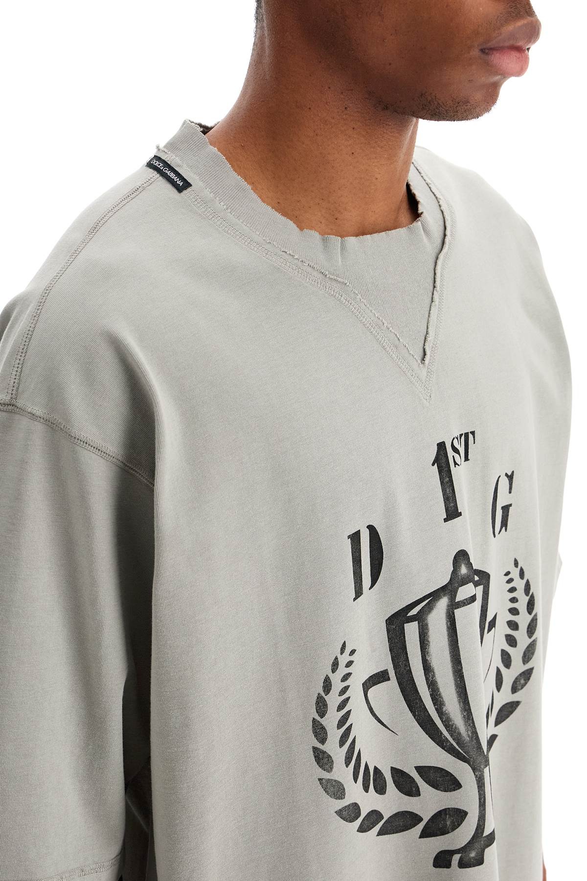 Dolce & Gabbana Logo-print Cotton T-shirt In Grigio Chiaro 5 (grey)