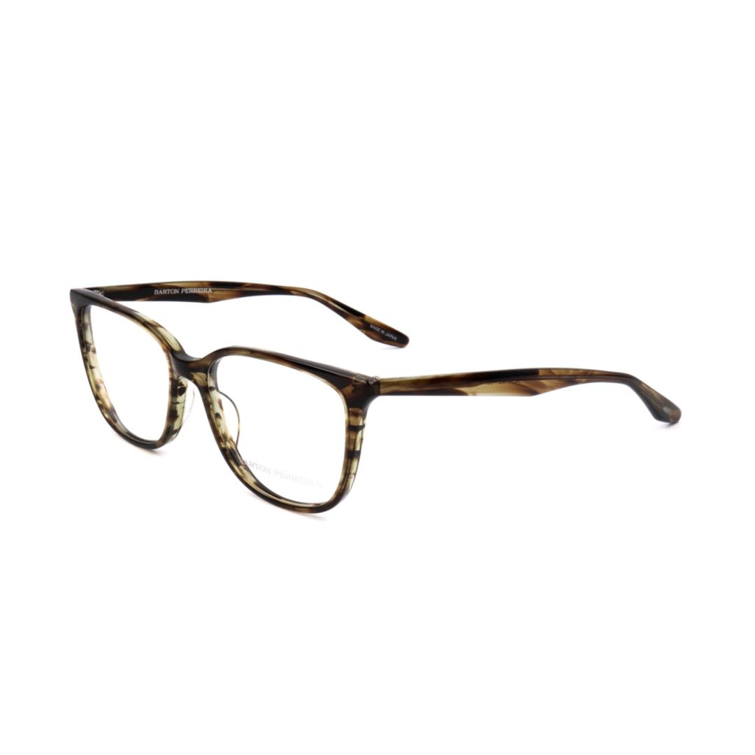Bp50492ej-tortoise