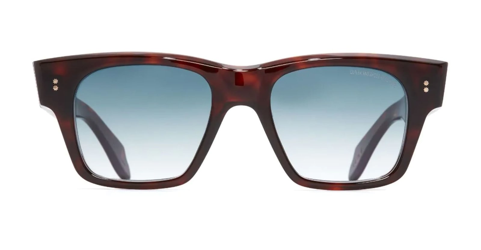 9690 / Dark Turtle Sunglasses