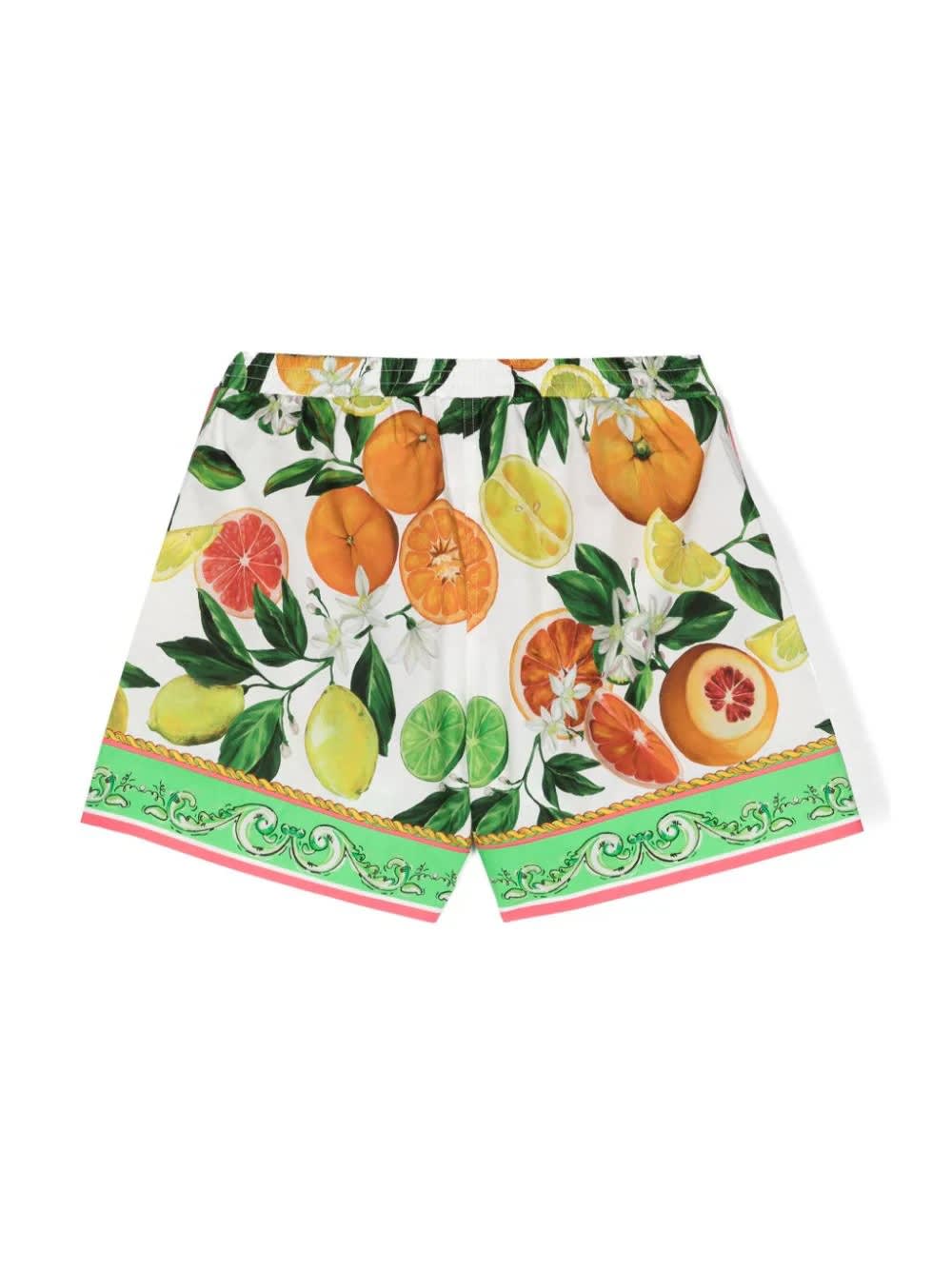Shop Dolce & Gabbana Shorts With Orange And Lemon Print In Multicolour