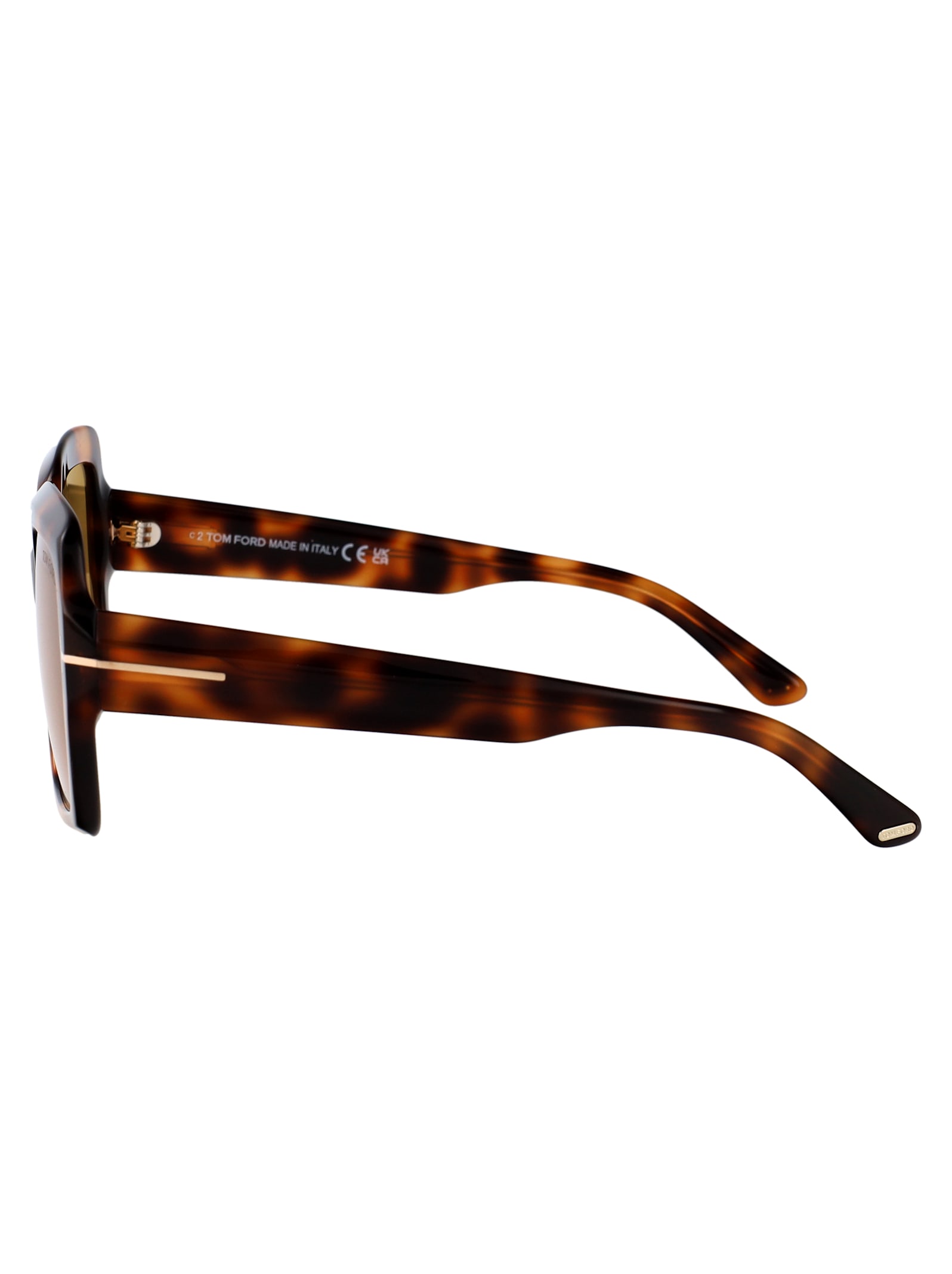 Tom Ford Kaya Sunglasses In Brown