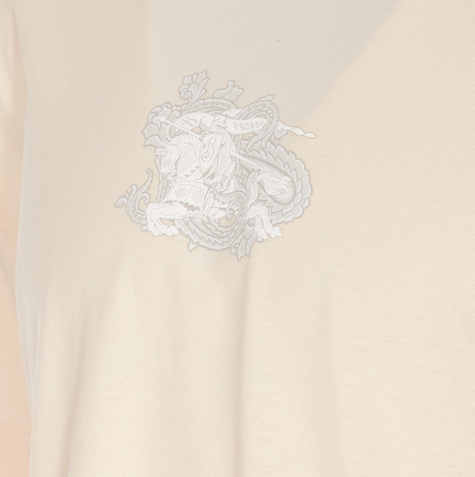 Shop Burberry Paisley Ekd T-shirt In Beige