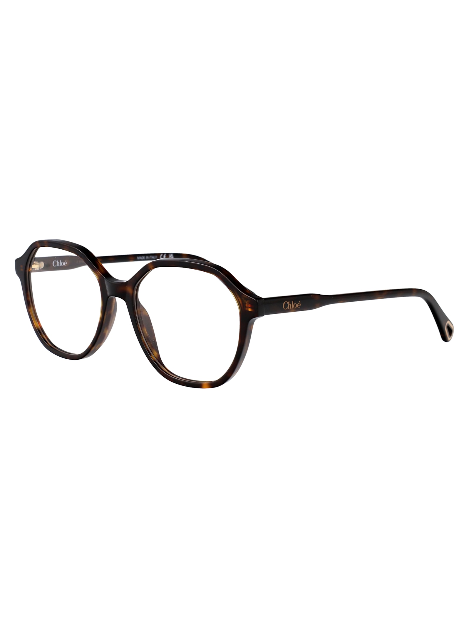 Chloé Ch0312o Glasses In Transparent