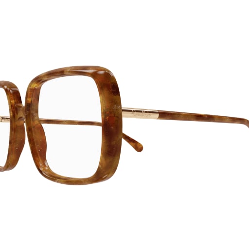 Shop Pomellato Pm0117o Eyewear In Havana Havana Transpa