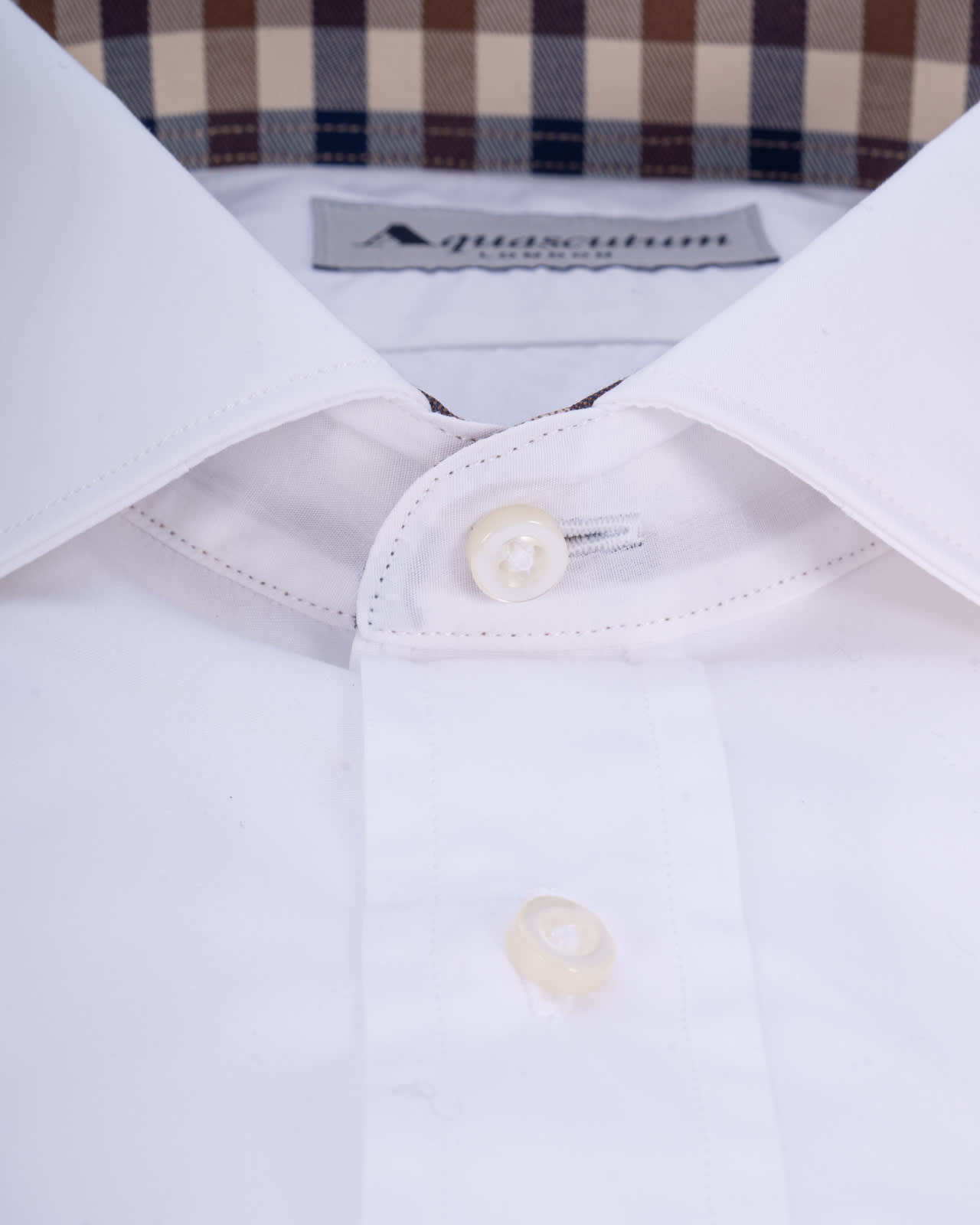 Shop Aquascutum Shirts White