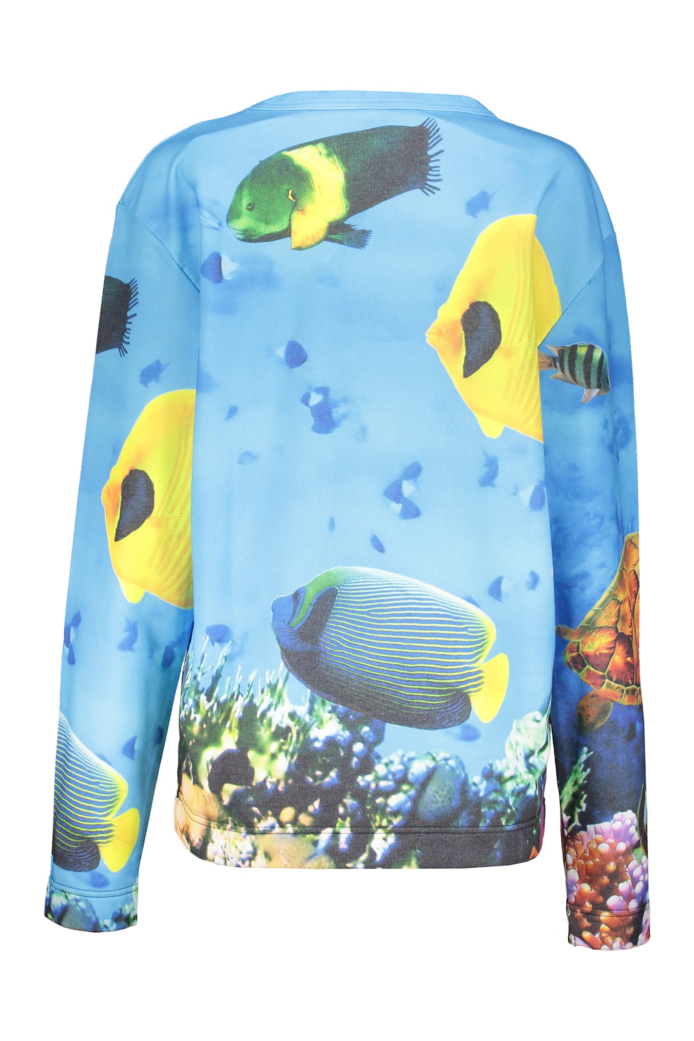 Moschino Print Sweatshirt In Light Blue