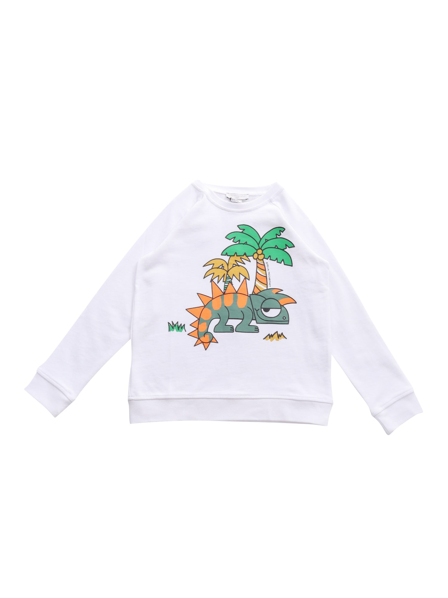 Stella McCartney Chameleon Sweatshirt