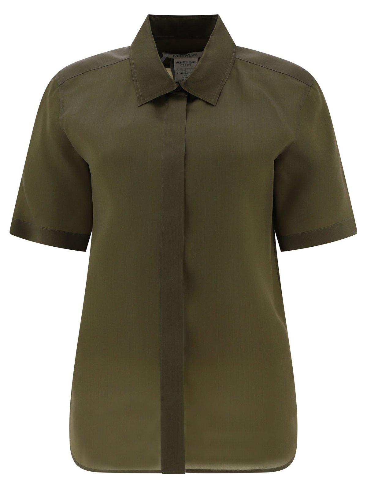 Shop Max Mara Buttoned Short-sleeved Shirt In Oliva