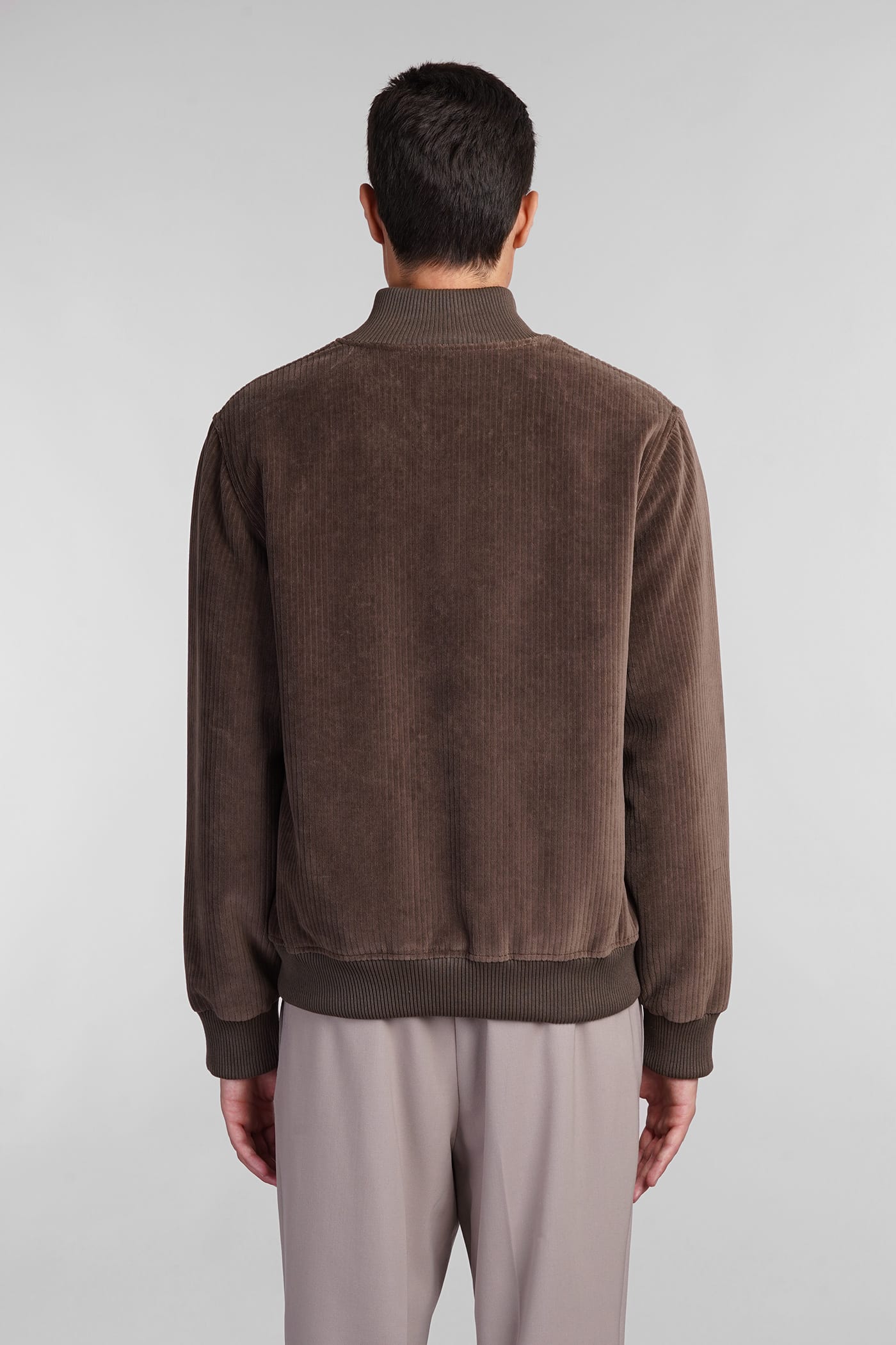 Shop Circolo 1901 Bomber In Brown Cotton