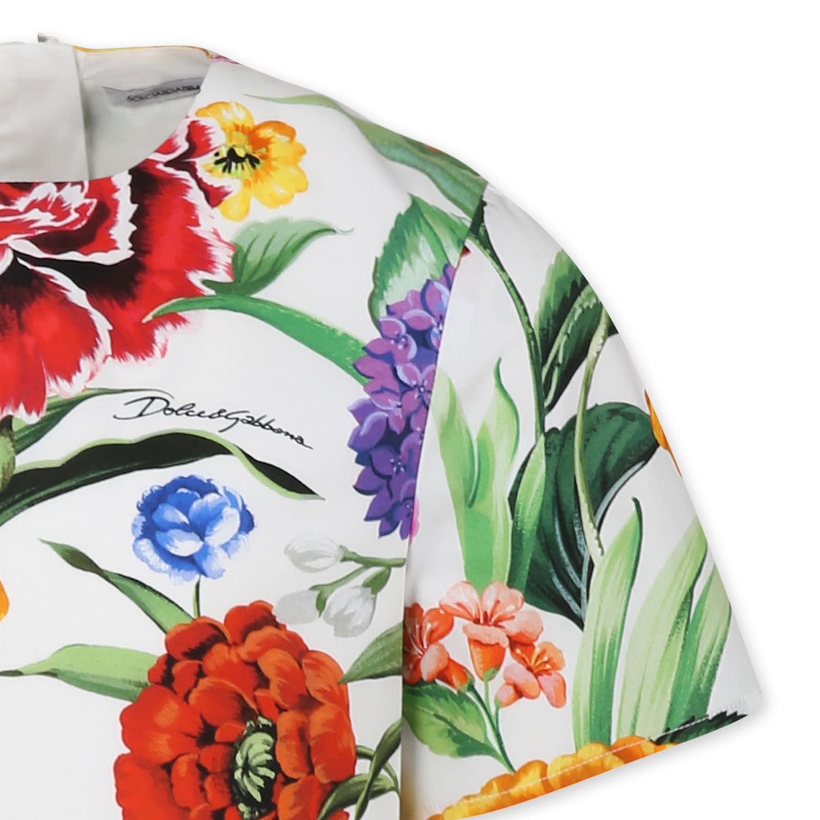 Dolce & Gabbana Floral Pattern Dress In Multicolor