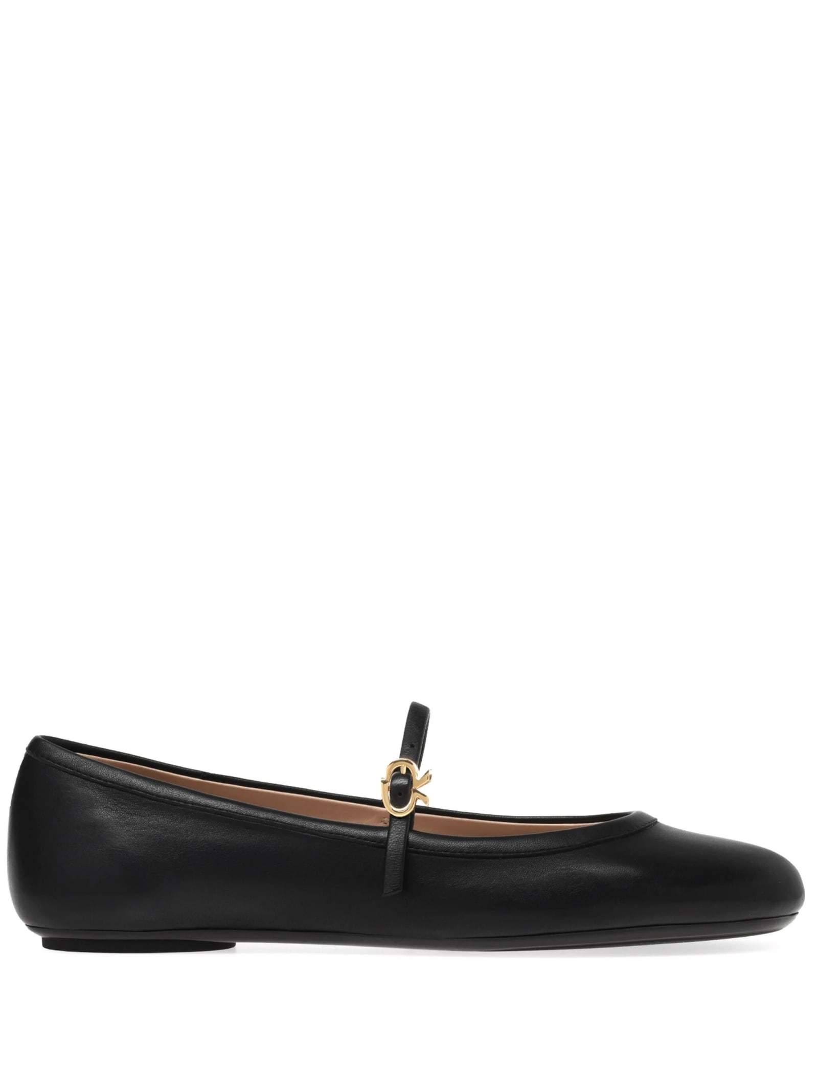 Shop Gianvito Rossi Carla Flat Ballerinas In Black Nappa