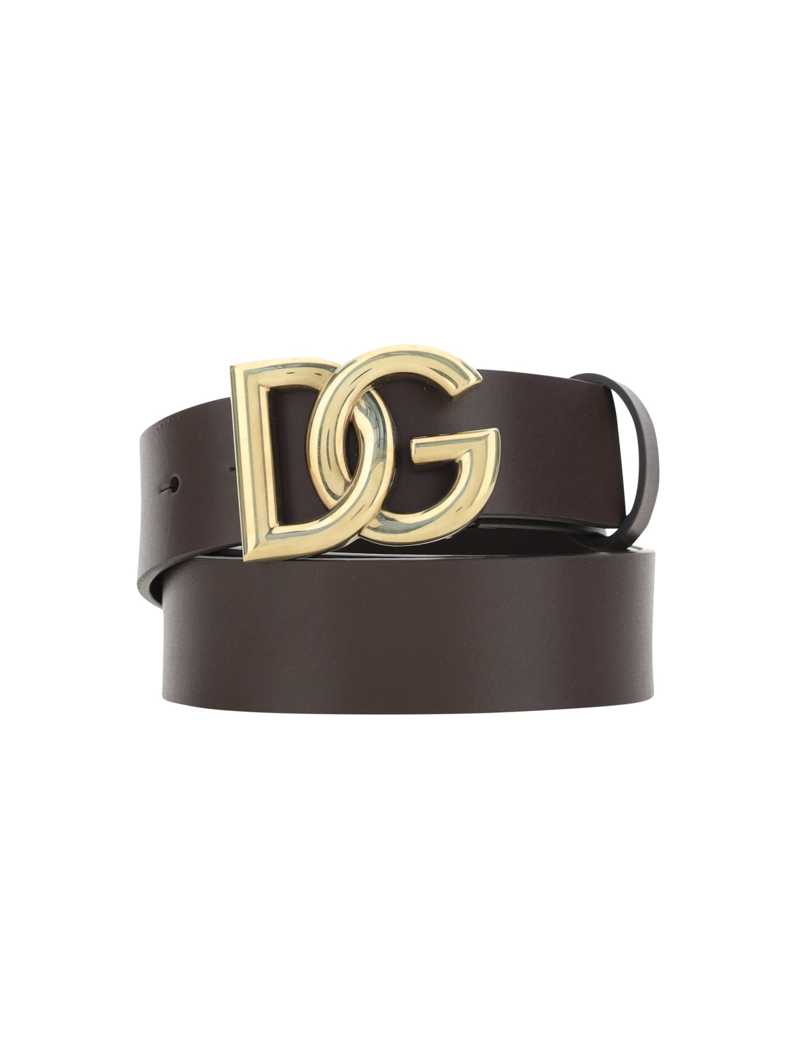 Shop Dolce & Gabbana Tosca Belt In Moro/oro