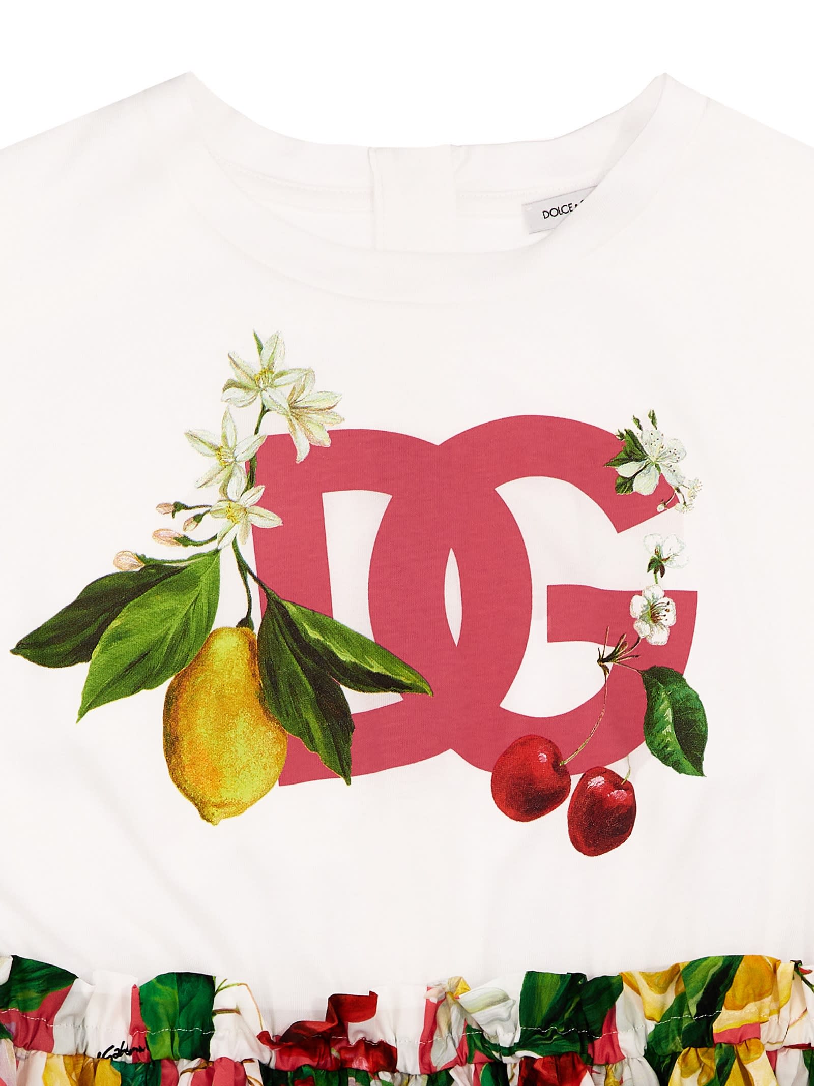 Shop Dolce & Gabbana Fruit Print Dress In Variante