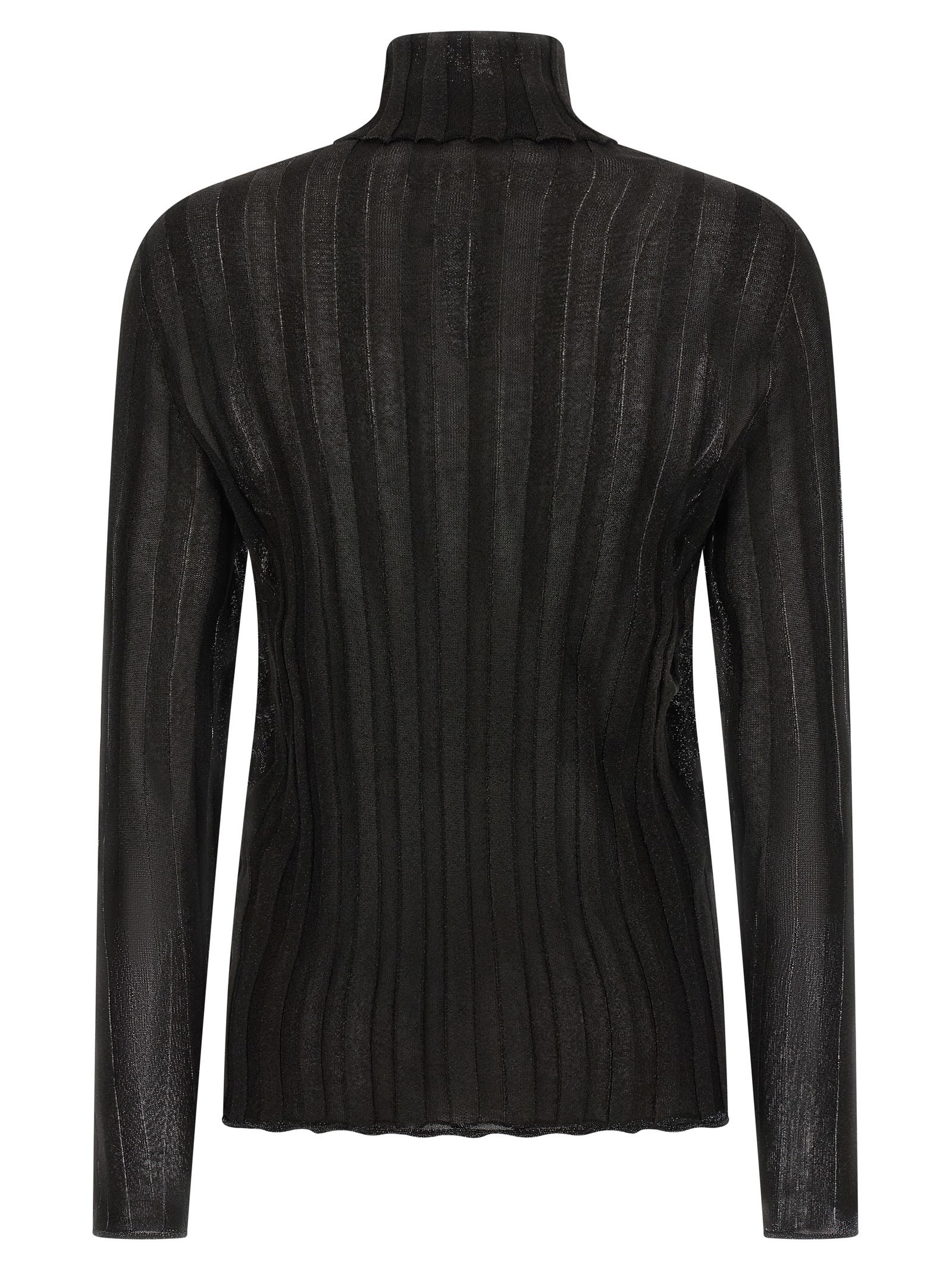Fabiana Filippi Turtleneck Sweater With Ribbed Sheer Fabric In Black