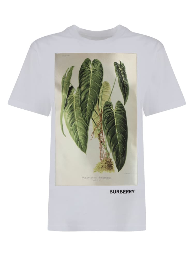 Burberry Botanical Sketch Print T-shirt