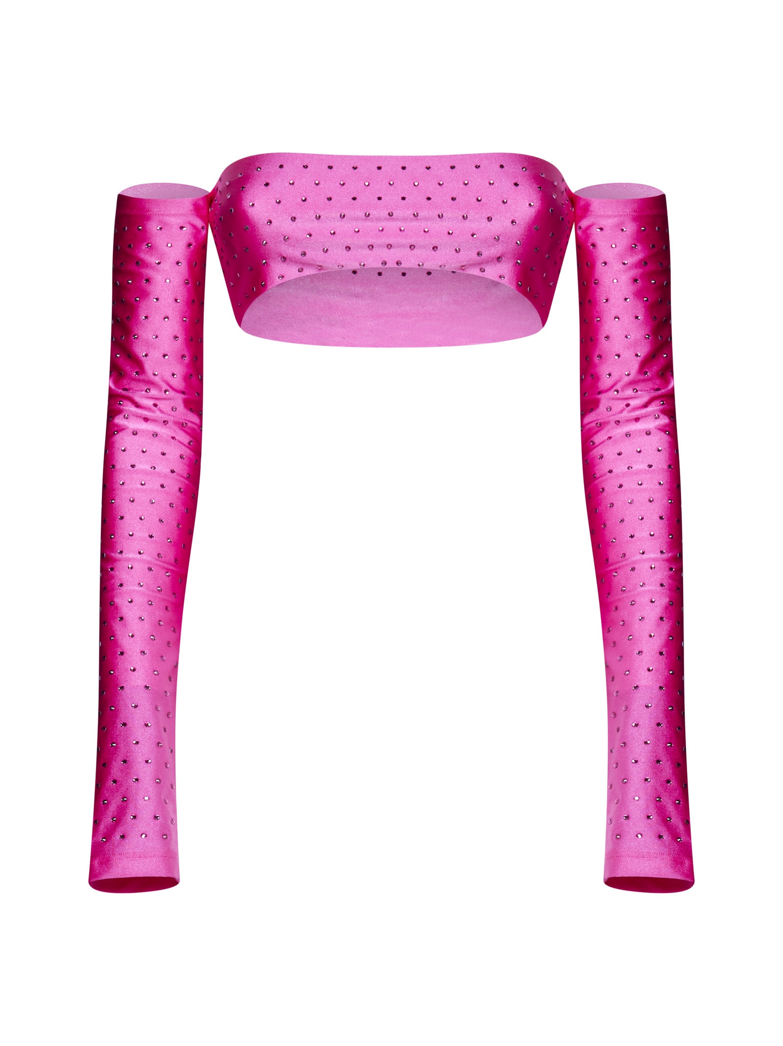 The Andamane Lexi Crystal-embellished Top In Fuchsia