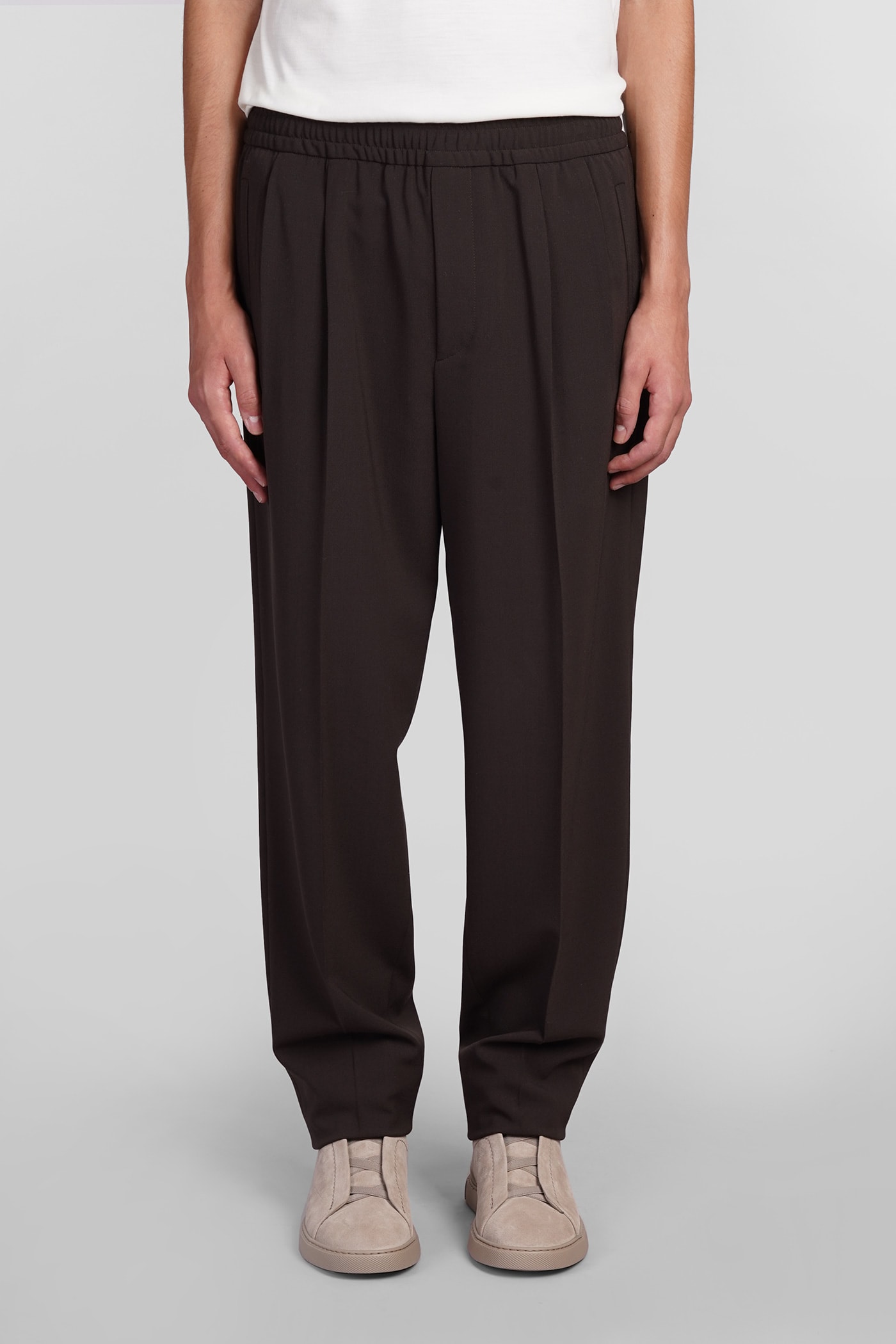 Shop Zegna Pants In Brown Polyester