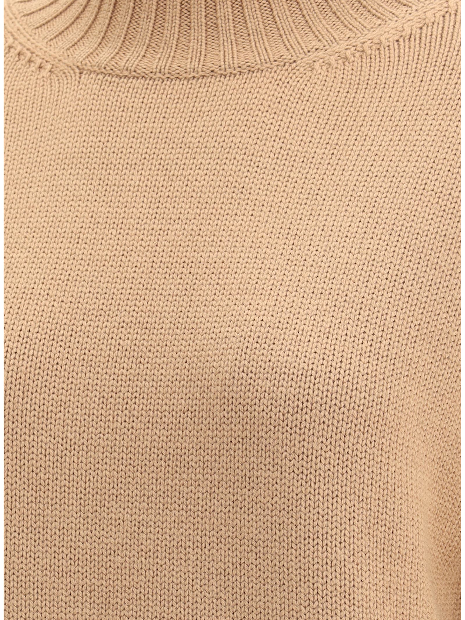 Fabiana Filippi Wool Turtleneck Sweater In Brown