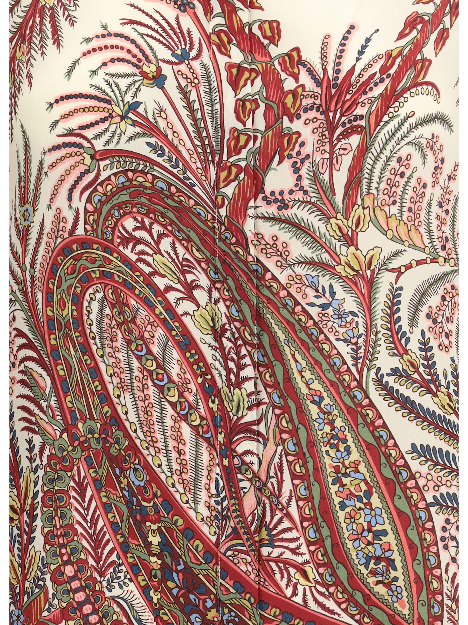 Etro Paisley Print Shirt In Brown