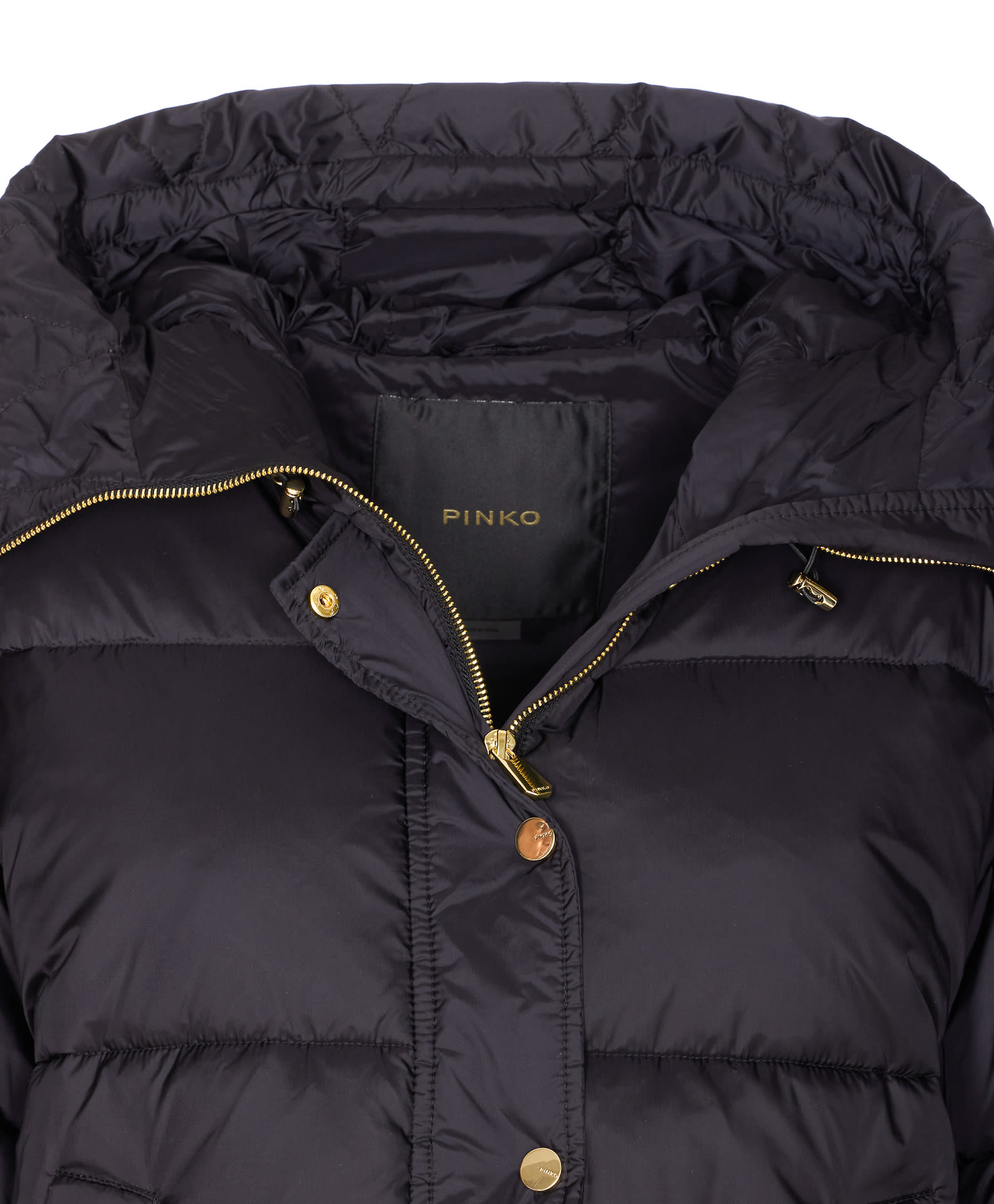 Pinko Impasto Down Jacket In Black