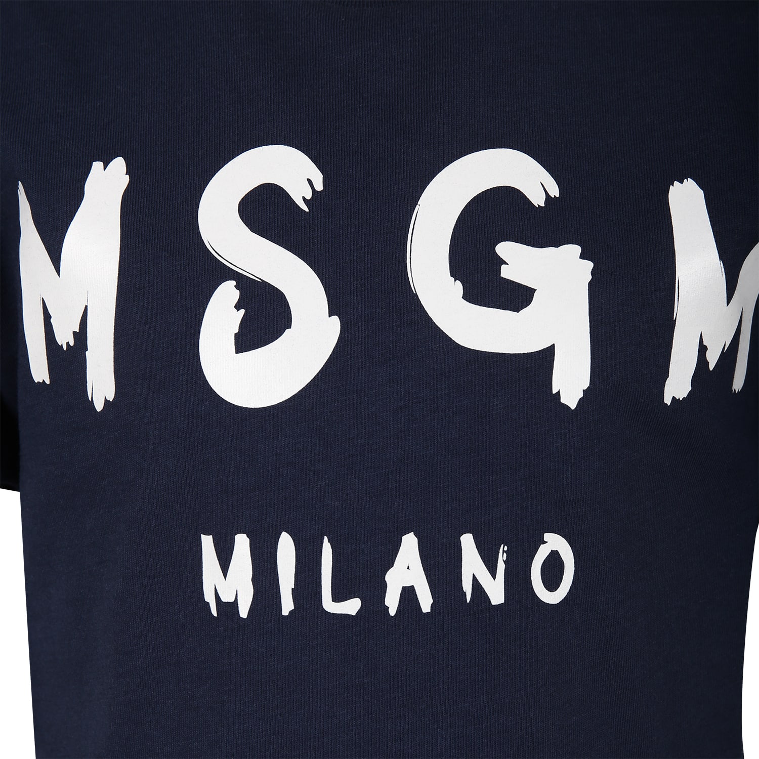 Shop Msgm Blue T-shirt For Kids With Logo