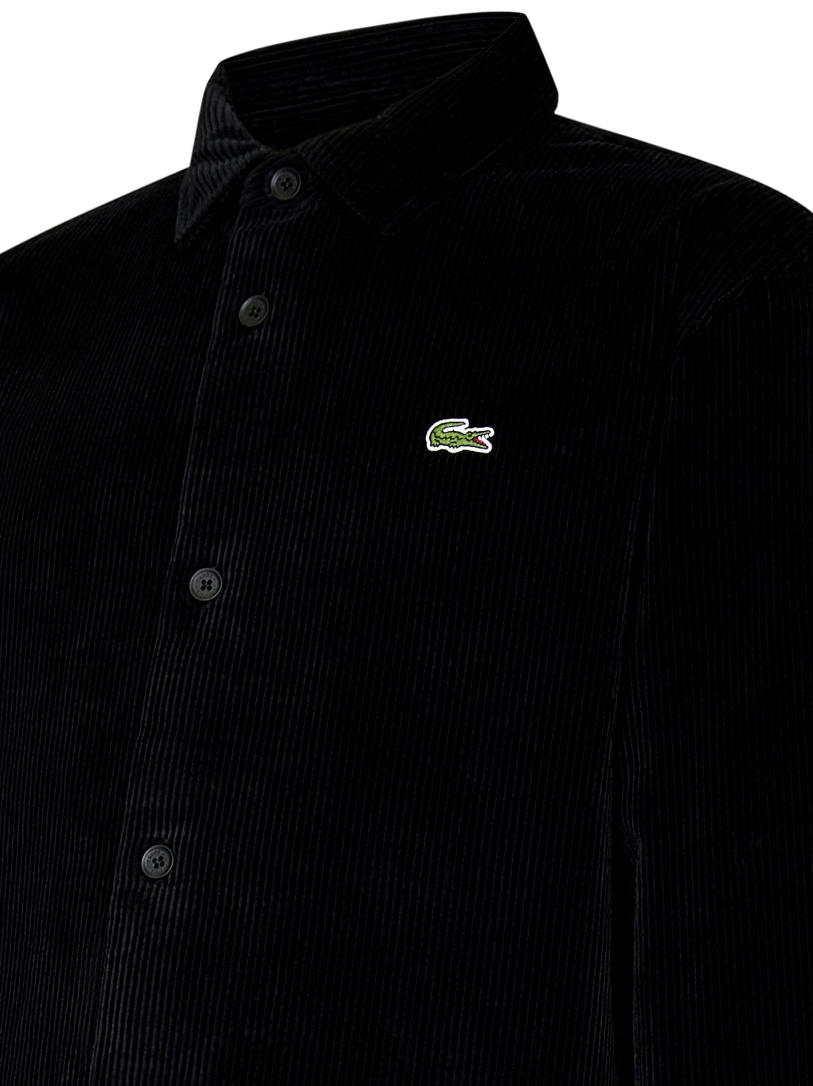 Shop Lacoste Shirt In Black