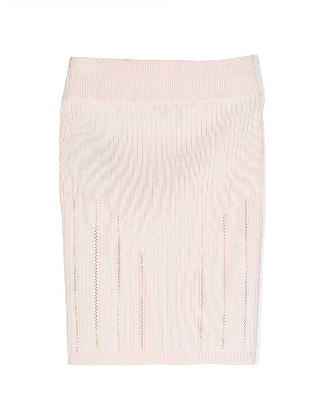 Shop Balmain Skirt With Application In Pink