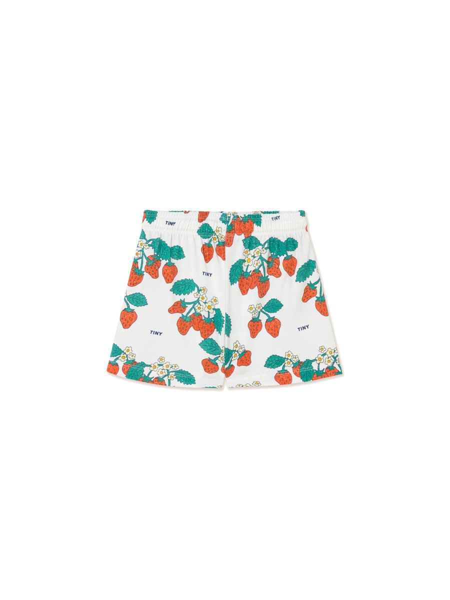 TINYCOTTONS BERMUDA