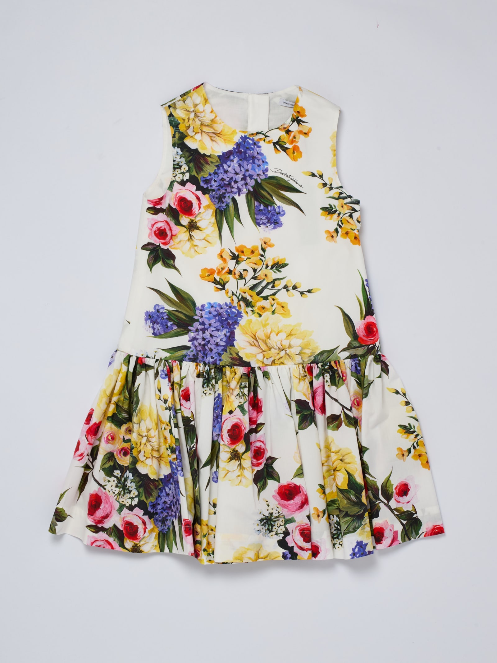 Shop Dolce & Gabbana Sleeveless Dress Dress In B.co-floreale