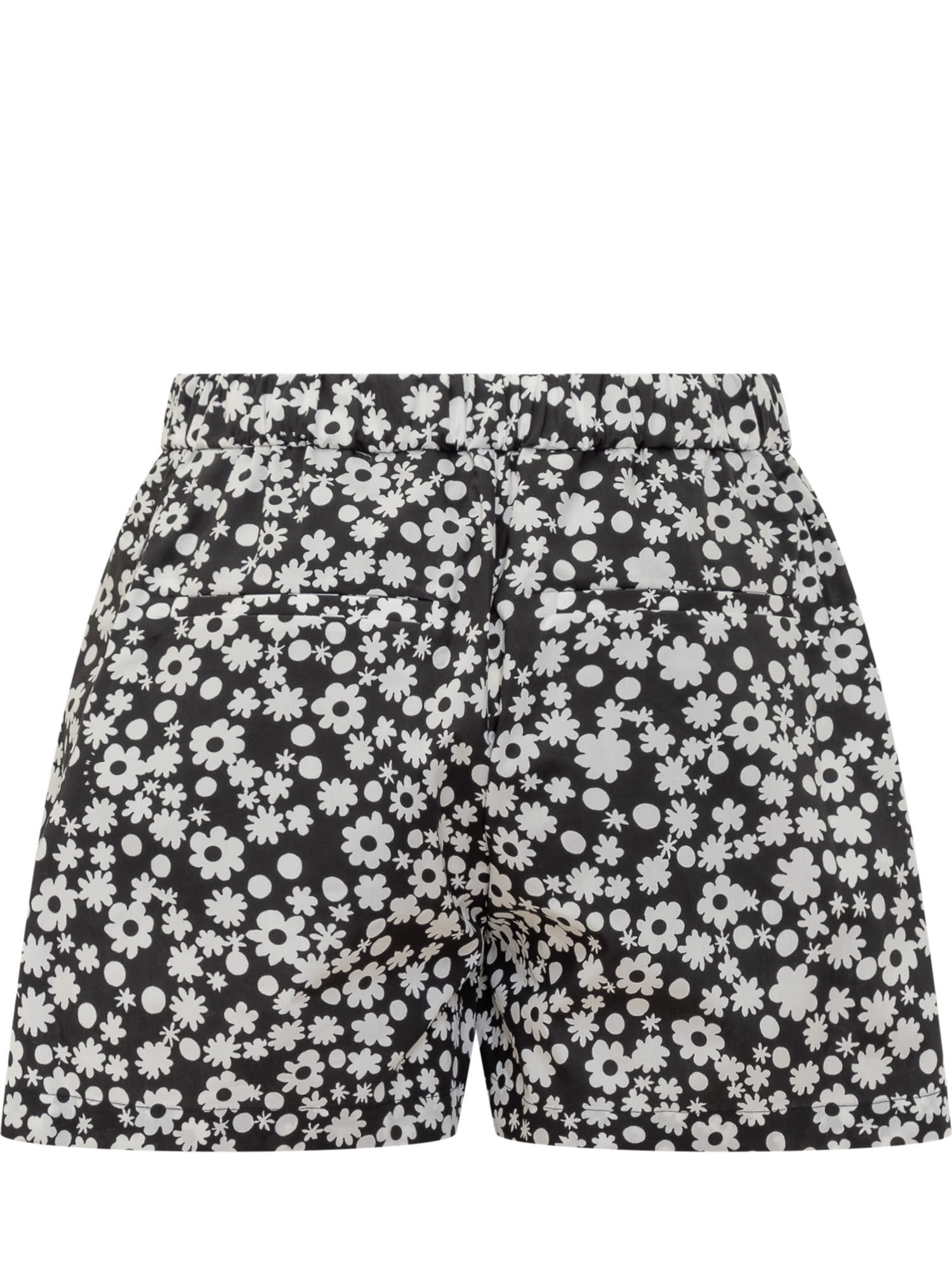 Marni Women Shorts In Black