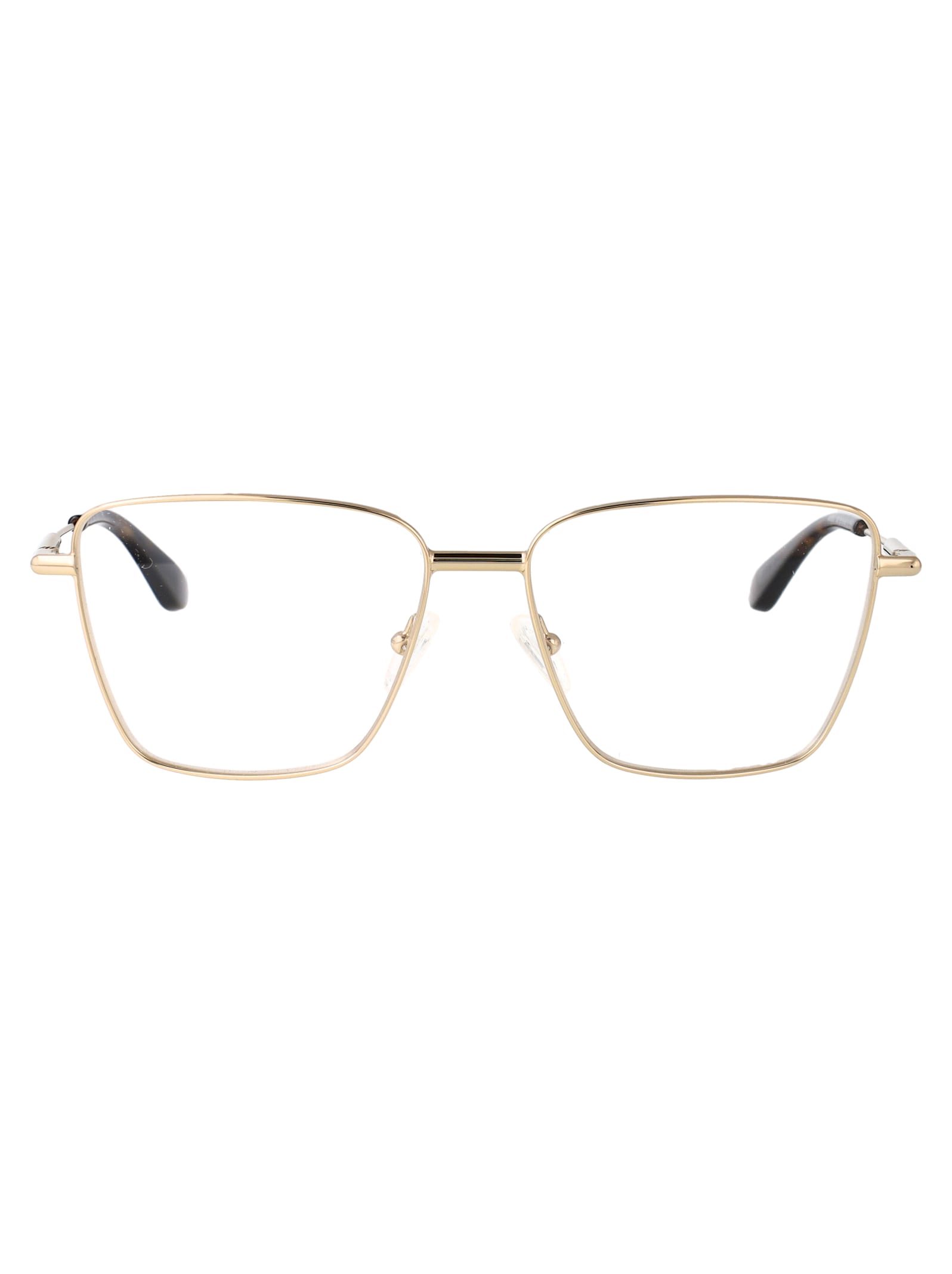 Alexander Mcqueen Am0503o Glasses