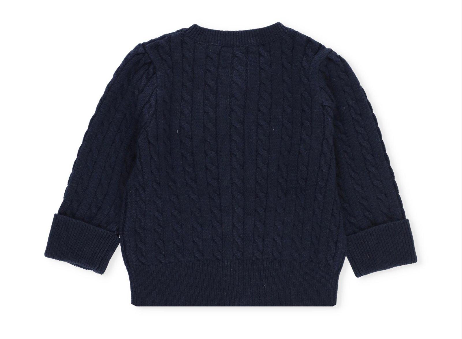 Polo Ralph Lauren Logo Embroidered Long-sleeved Cardigan In Blue