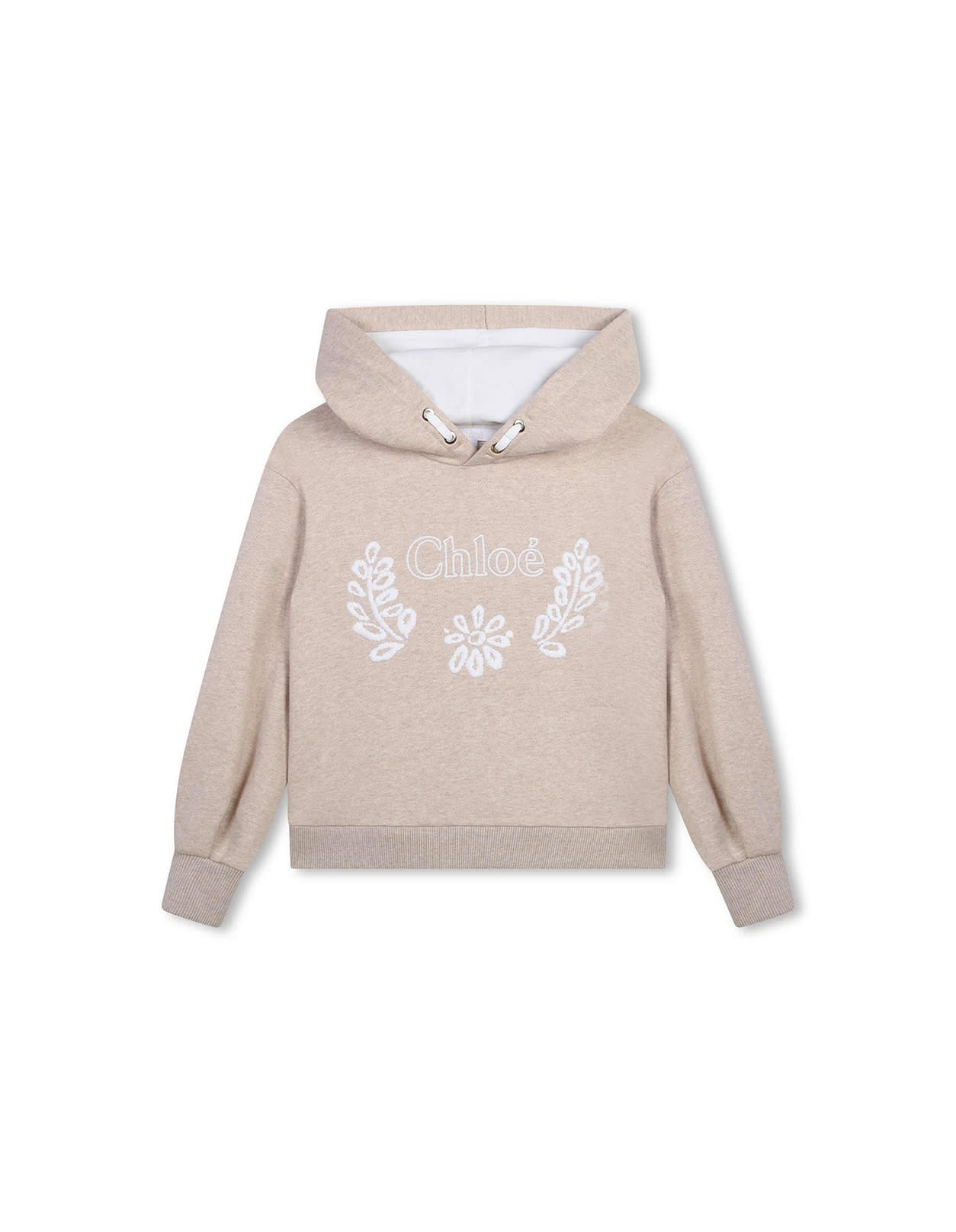 Shop Chloé Beige Marl Hoodie With Botanical Embroider In Brown